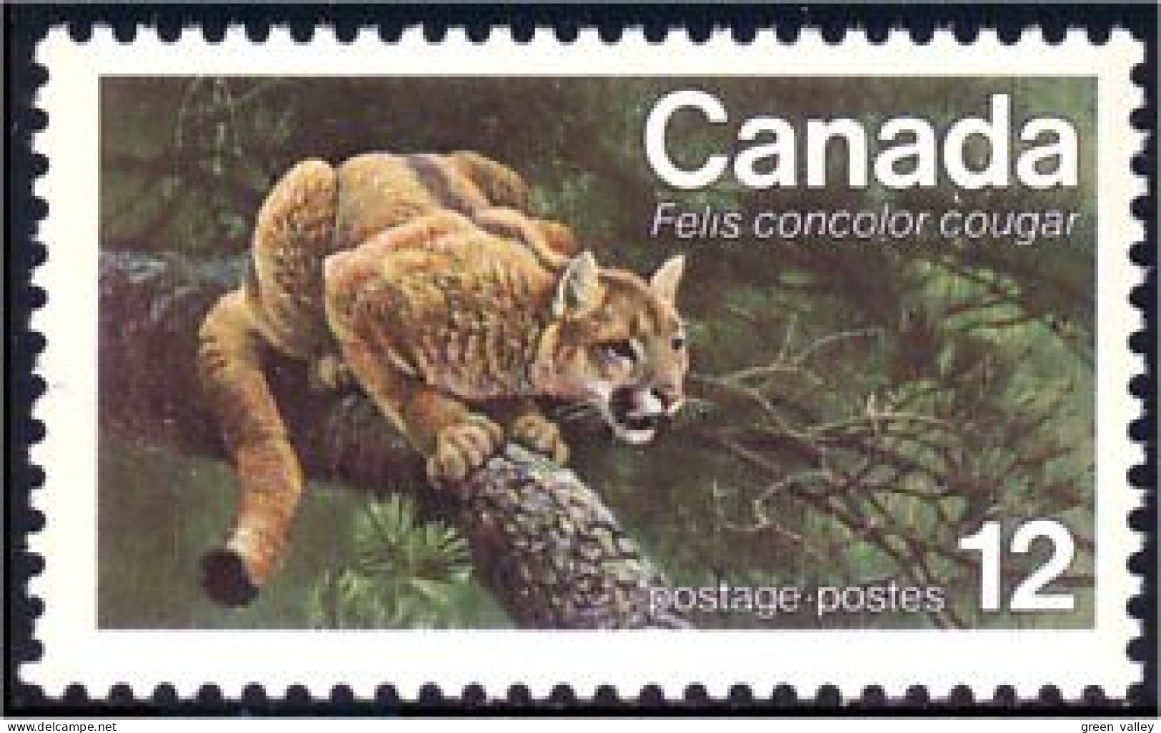 (C07-32c) Canada Cougar MNH ** Neuf SC - Roofkatten