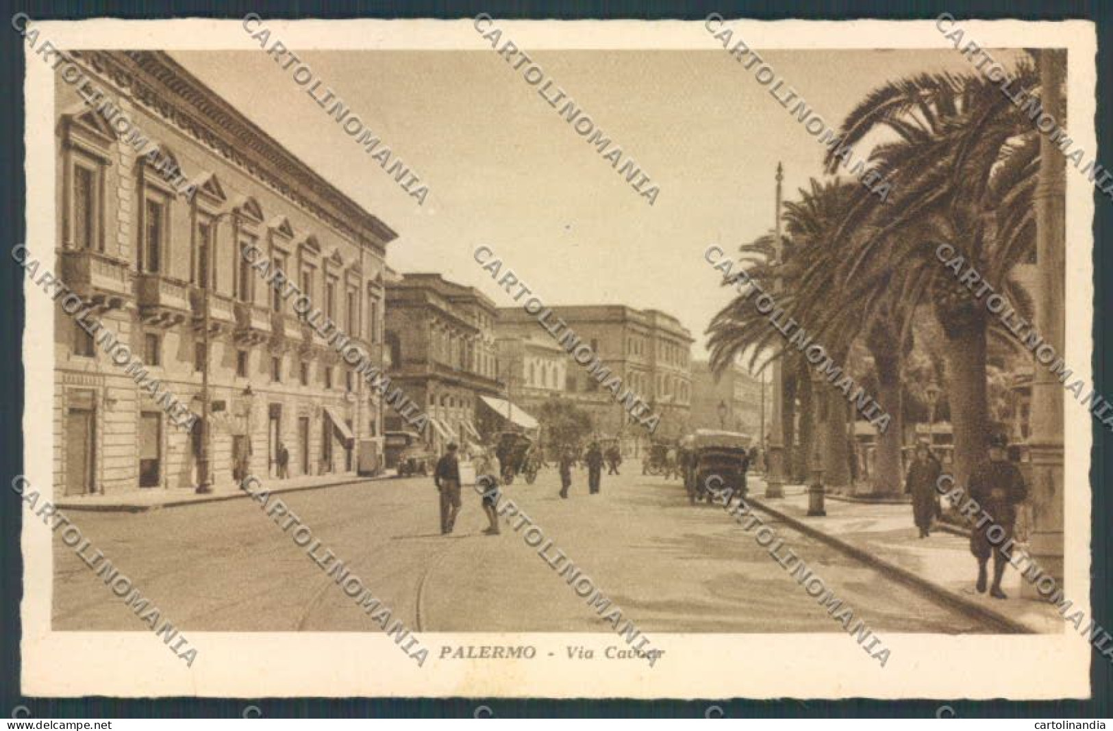 Palermo Città Via Cavour Cartolina ZT8211 - Palermo