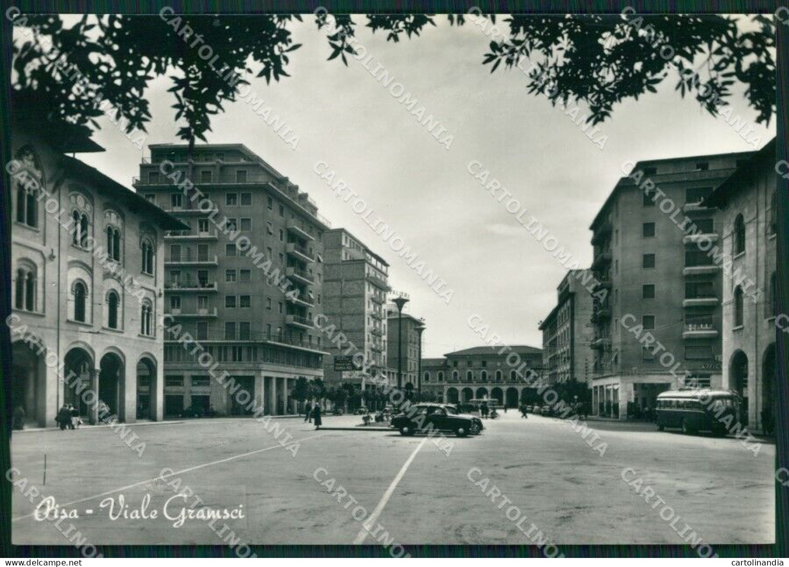 Pisa Città Foto FG Cartolina ZKM8165 - Pisa