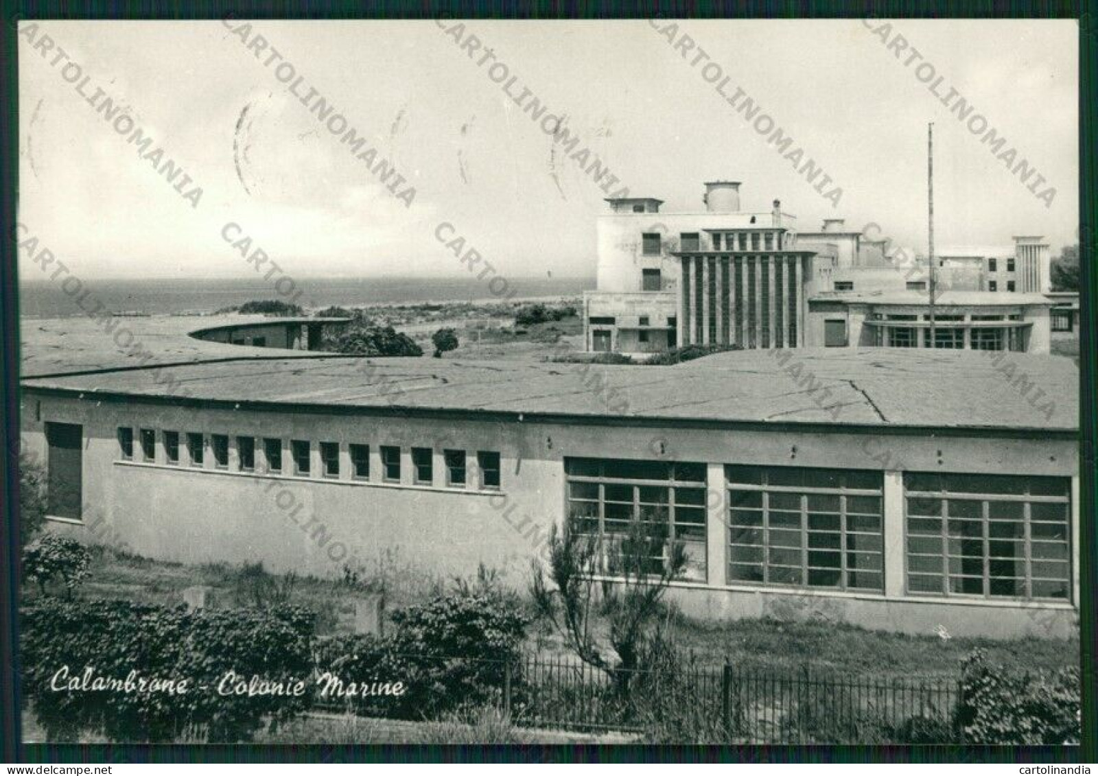 Pisa Calambrone Colonie Foto FG Cartolina ZK1908 - Pisa