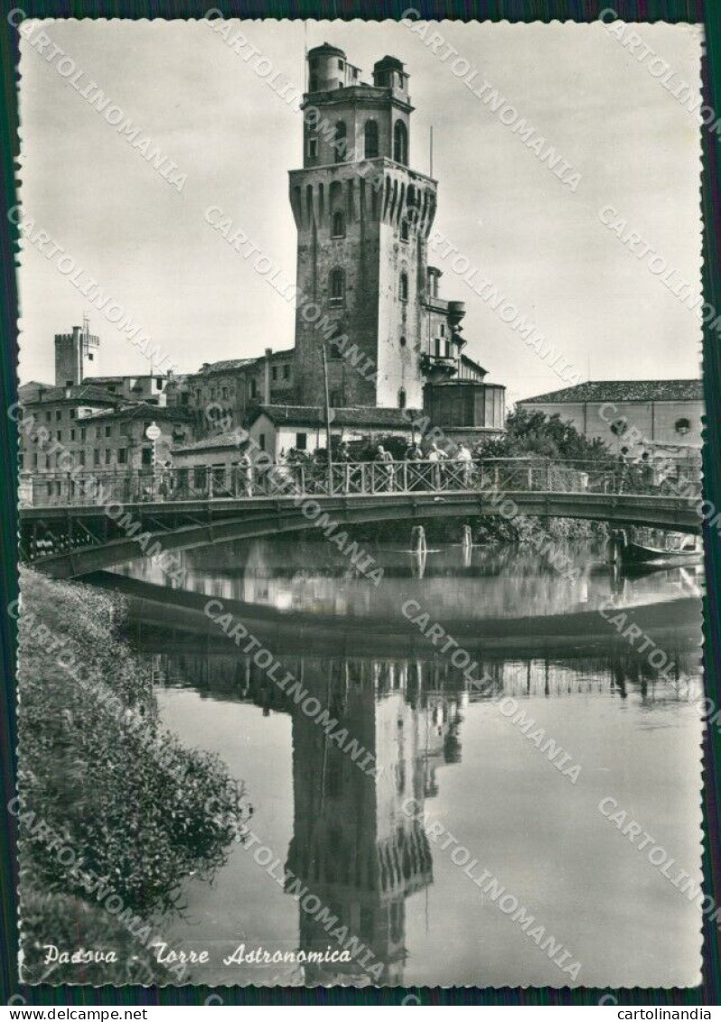 Padova Città Foto FG Cartolina ZKM7145 - Padova (Padua)