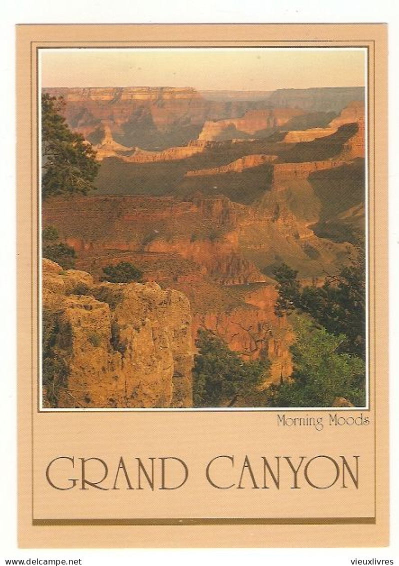 Grand Canyon Morning Moods Nevada 1983 Postcard - Other & Unclassified