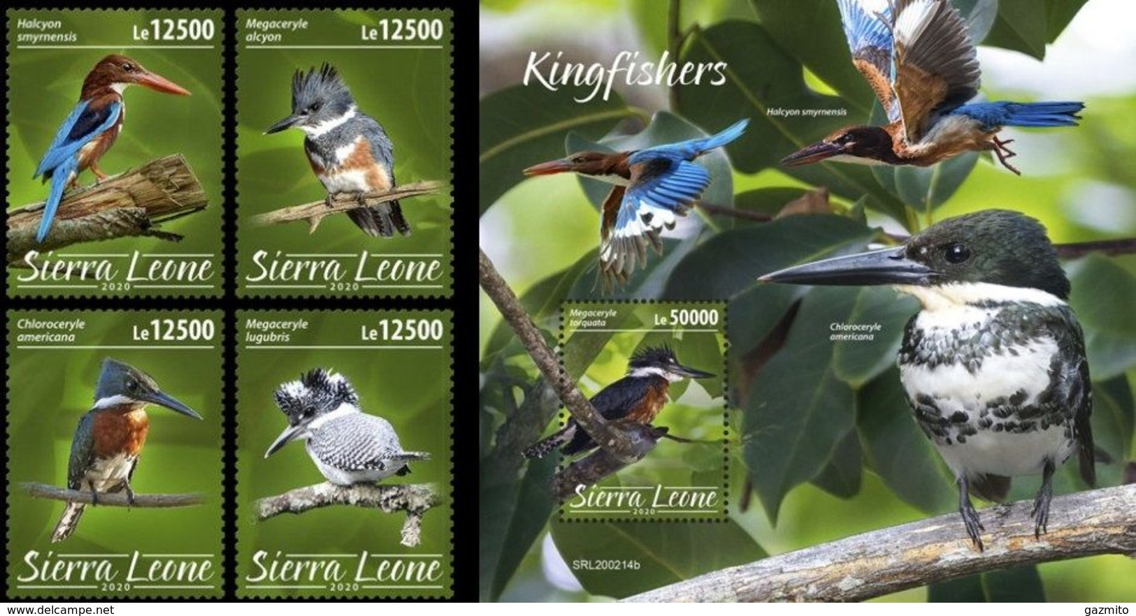 Sierra Leone 2020, Animals, Kingfisher, 4val +BF - Sierra Leona (1961-...)