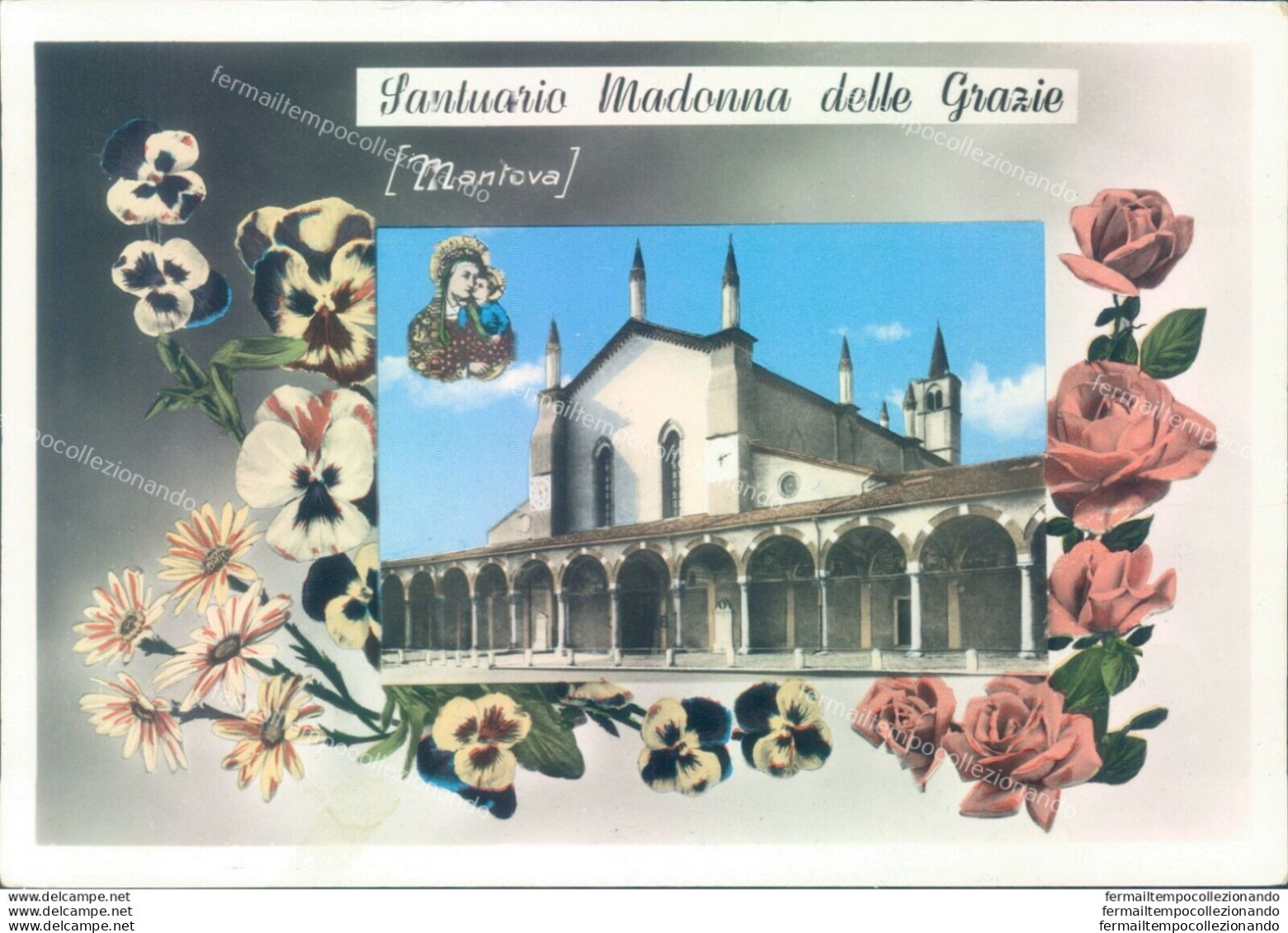 P29 Cartolina Mantova Citta'  Mantova Santuario Madonna Delle Grazie - Mantova