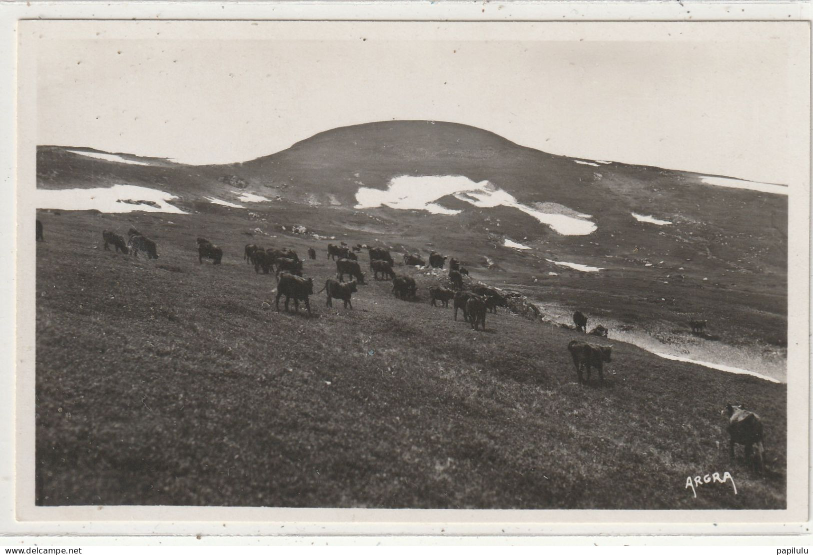 38 DEPT 15 : édit. Argra N° 175 : Le Plomb Du Cantal - Otros & Sin Clasificación