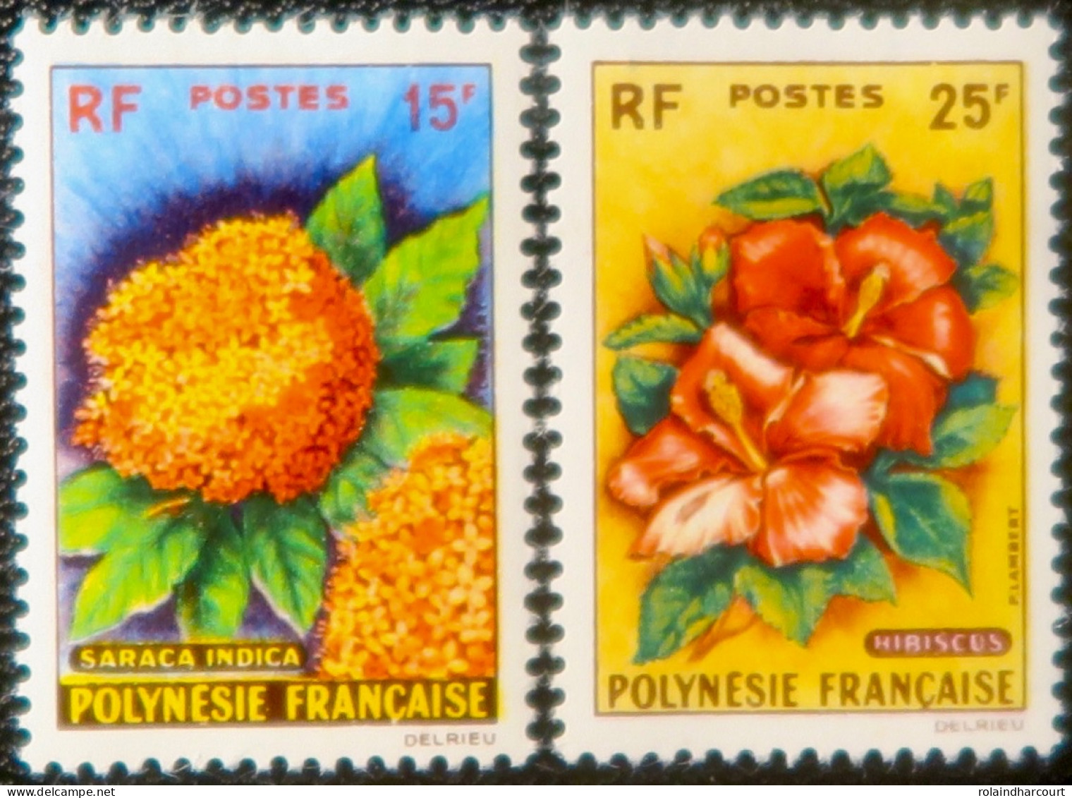 R2253/679 - POLYNESIE FRANÇAISE - 1962 - Fleurs - N°15 à 16 NEUFS* - Cote (2024) : 45,00 € - Neufs