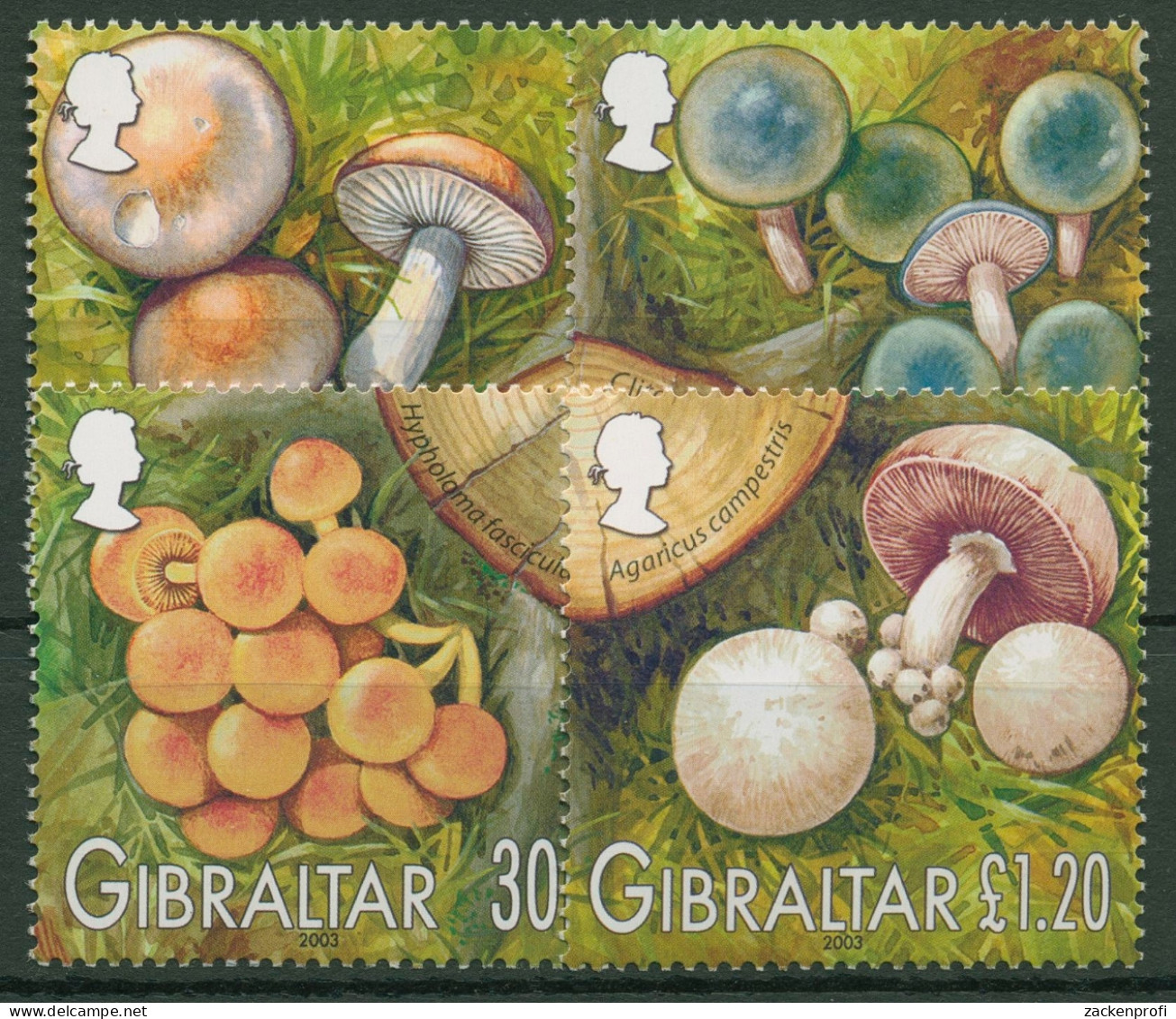 Gibraltar 2003 Einheimische Pilze 1054/57 Postfrisch - Gibraltar