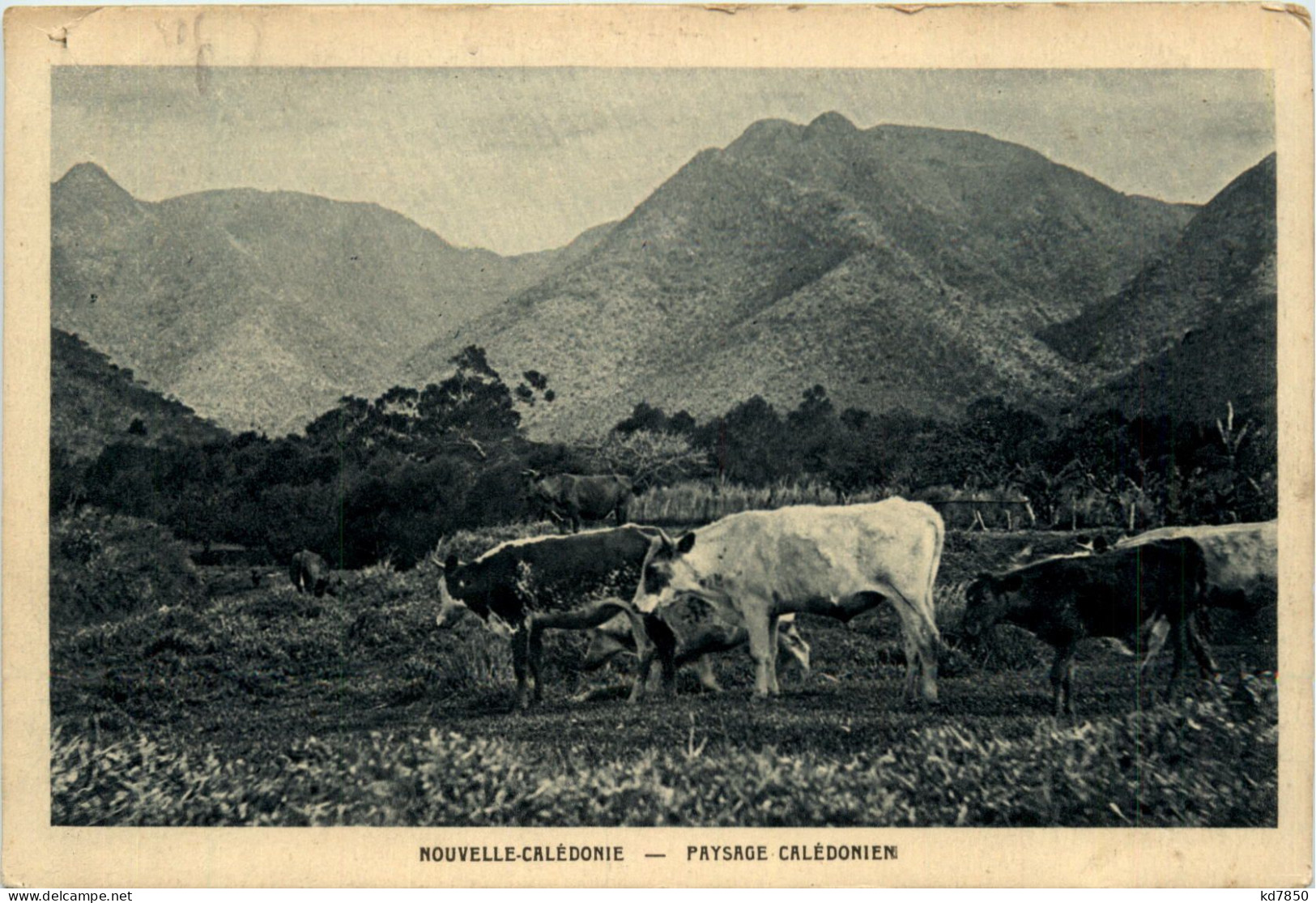 Nouvelle-Caledonie - Nuova Caledonia