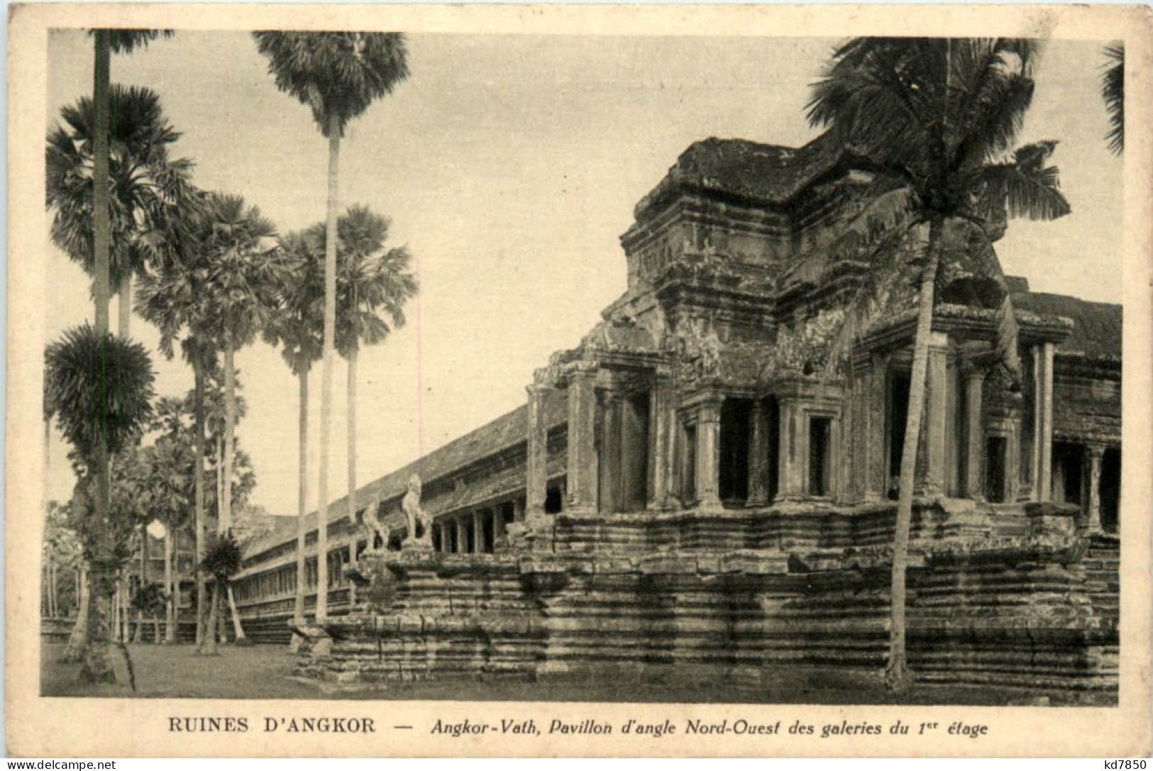 Ruines D Angkor - Cambodge