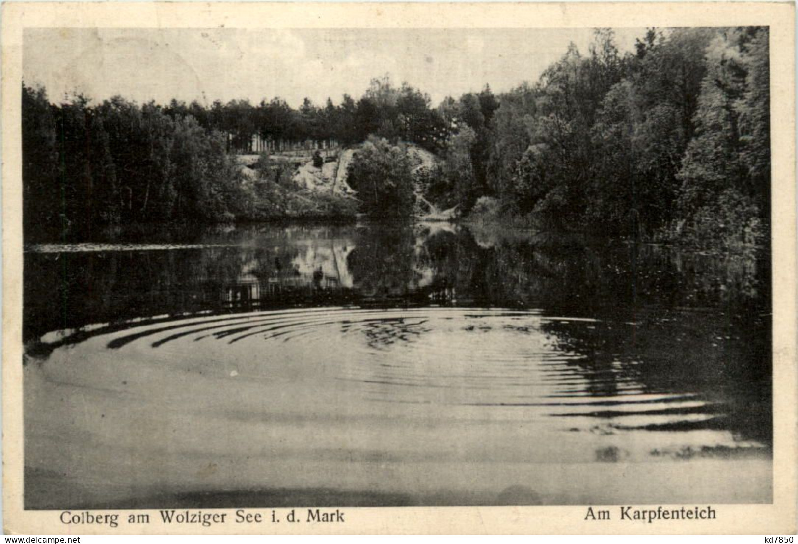 Colberg Am Wolziger See, Am Karpfenteich - Hildburghausen