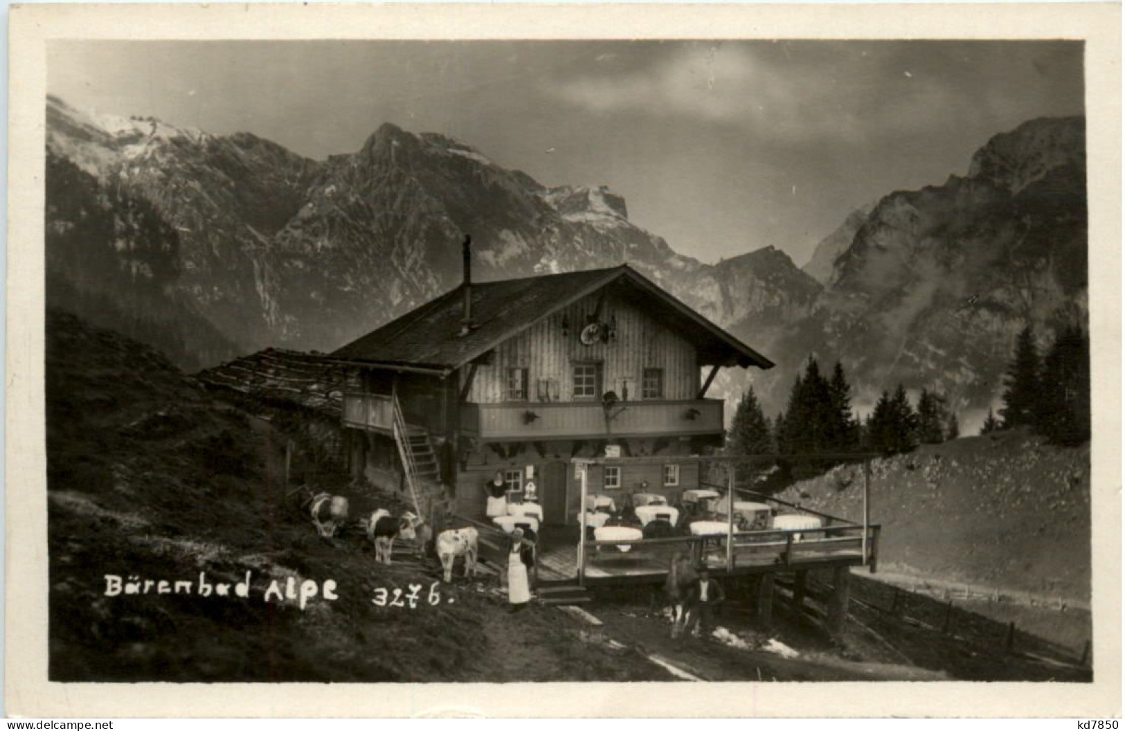 Bärenbad Alpe Am Achensee - Achenseeorte