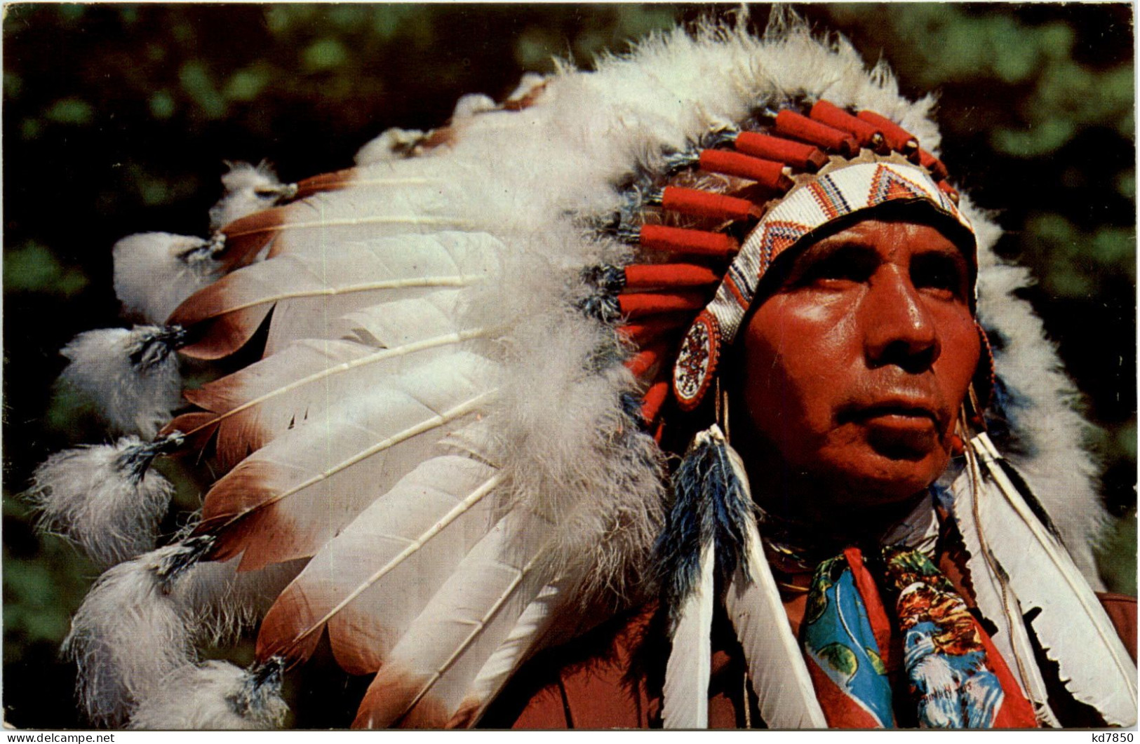 Indian Chief - Indianer