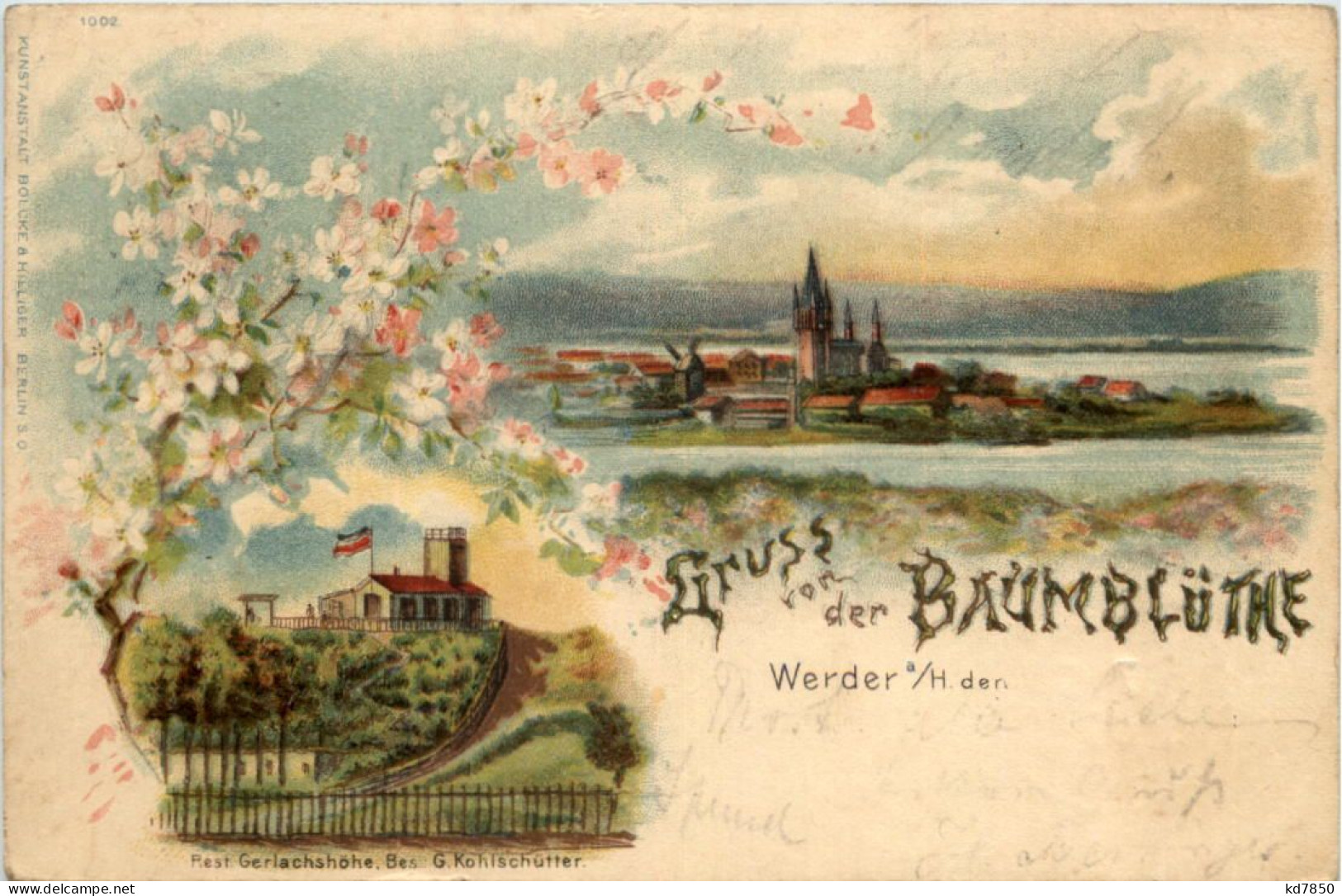 Gruss Von Der Baumblüte Werder Havel - Litho - Werder