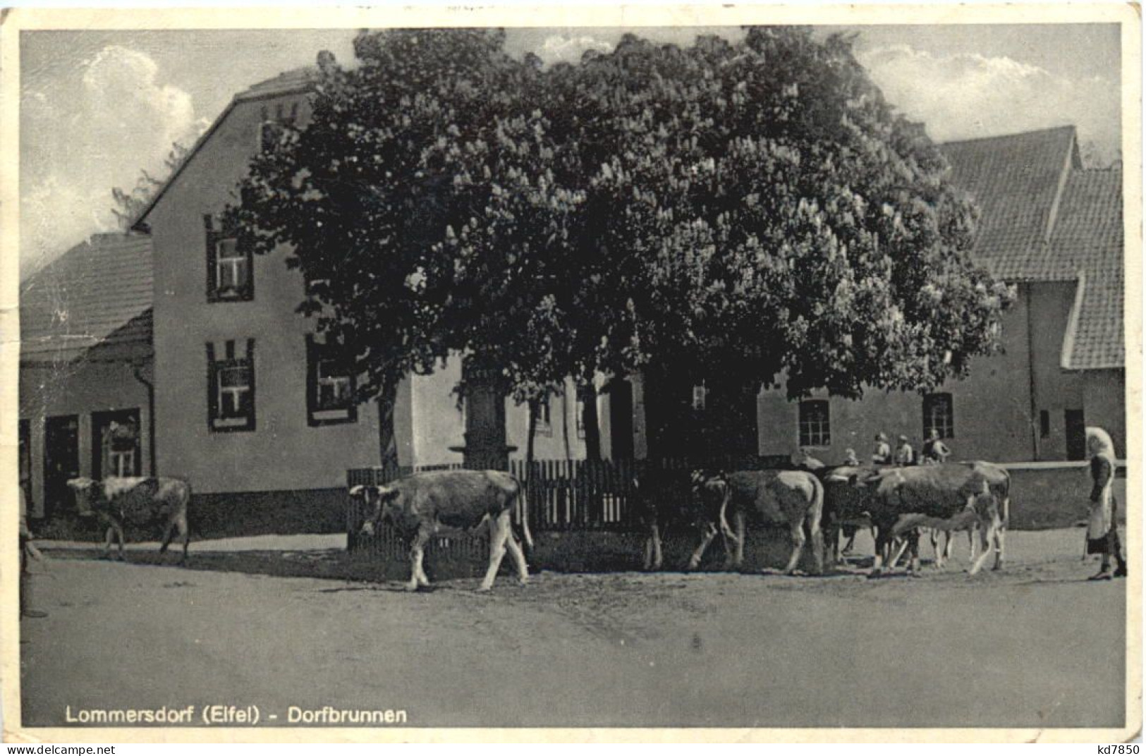 Lommersdorf Eifel - Dorfbrunnen - Blankenheim - Euskirchen