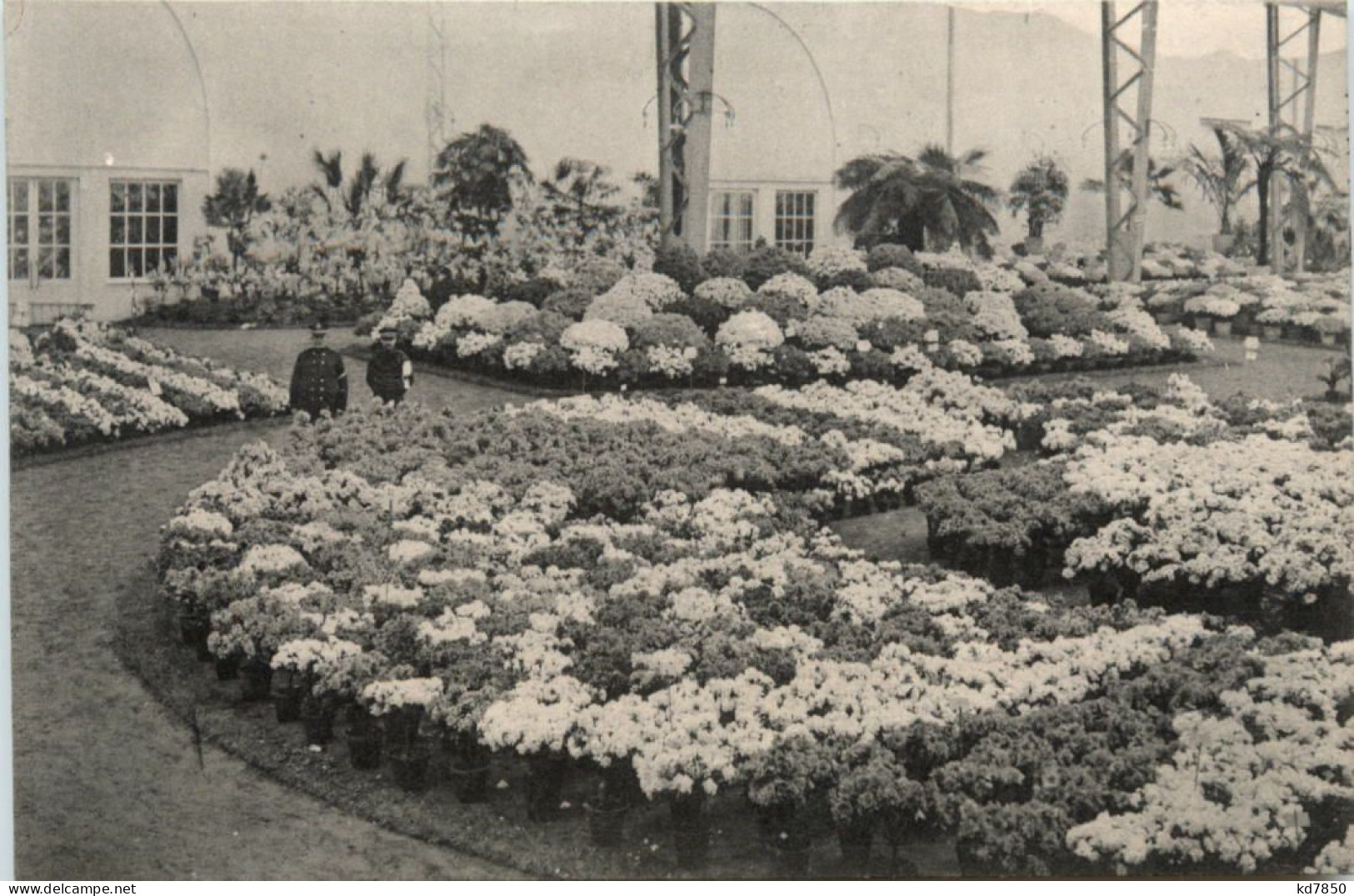 Gand - Exposition 1913 - Gent