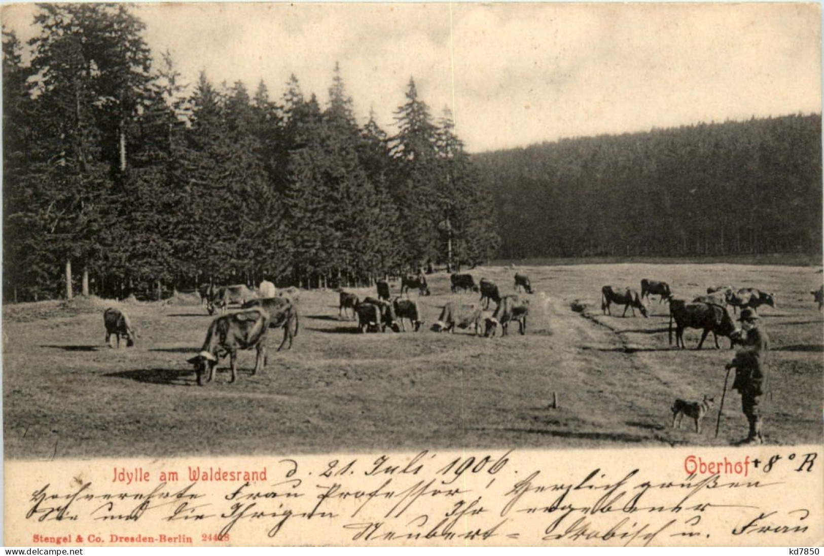 Oberhof - Idylle Am Waldesrand - Oberhof