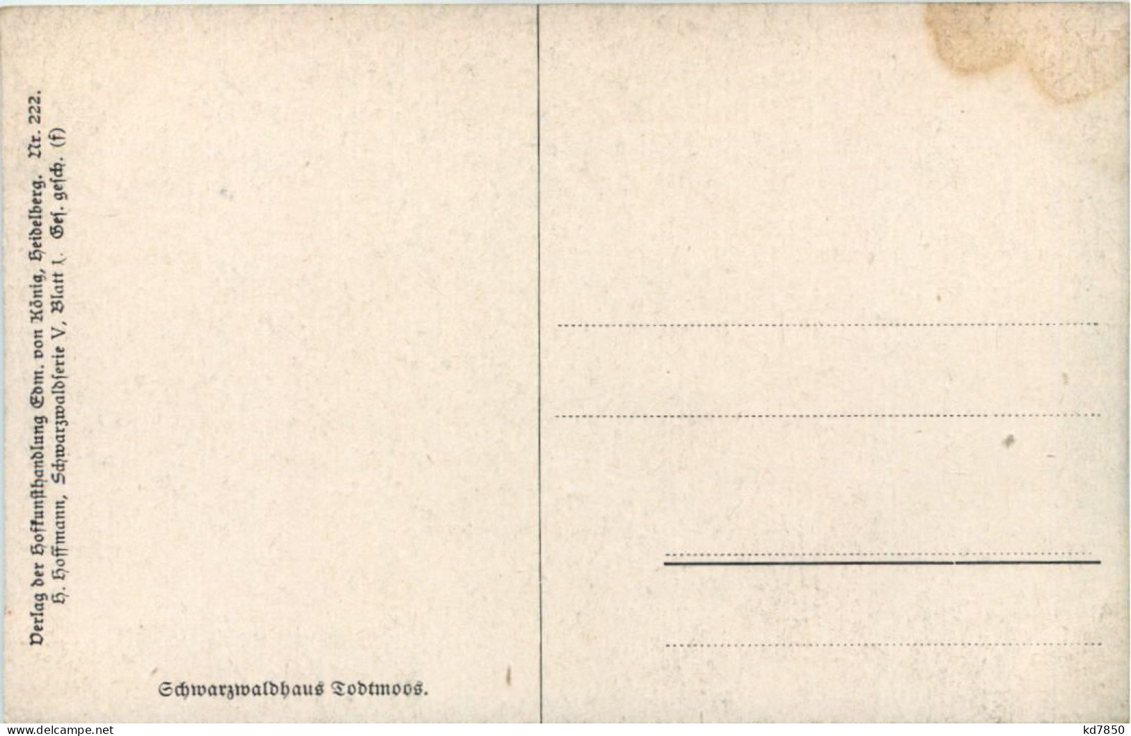 Schwarzwald - Künstler AK H. Hoffmann - Sonstige & Ohne Zuordnung