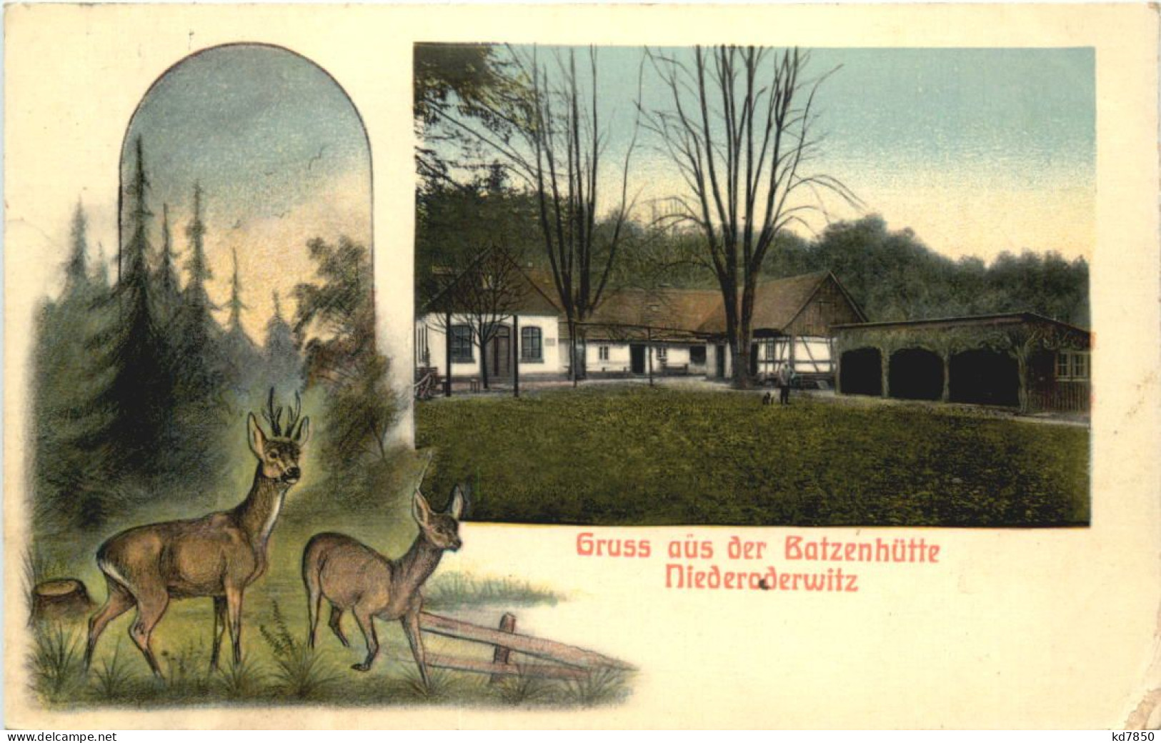 Niederoderwitz In Sachsen - Gruss Aus Der Batzenhütte - Goerlitz