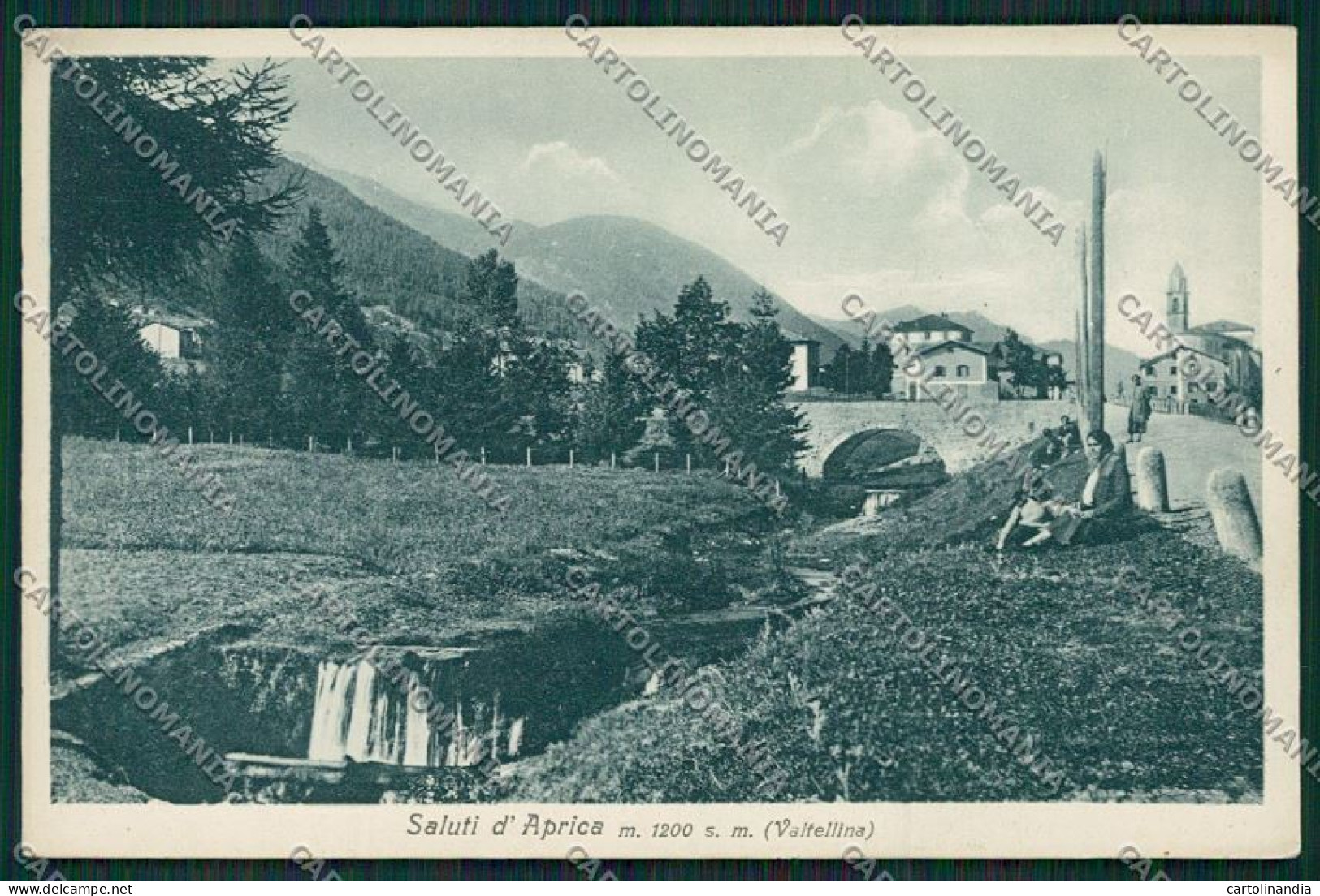 Sondrio Aprica Cartolina QQ7444 - Sondrio