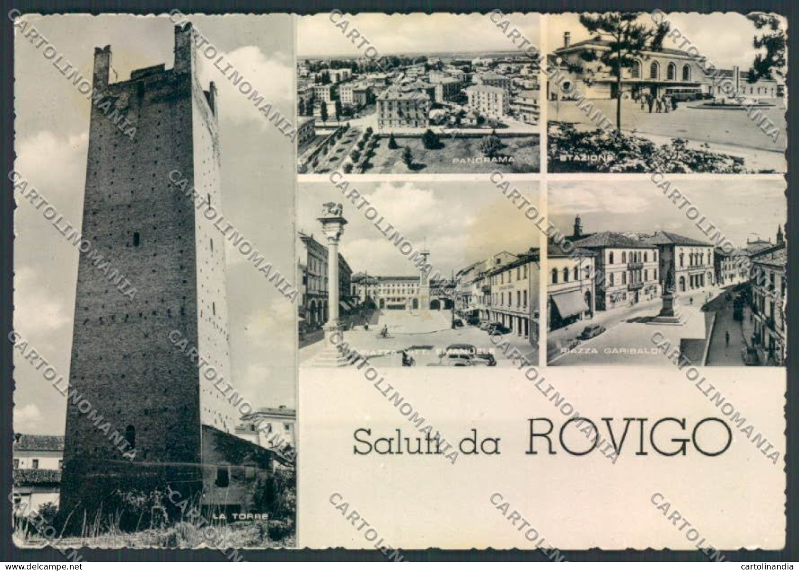 Rovigo Saluti Da PIEGHINE Foto FG Cartolina ZF1456 - Rovigo