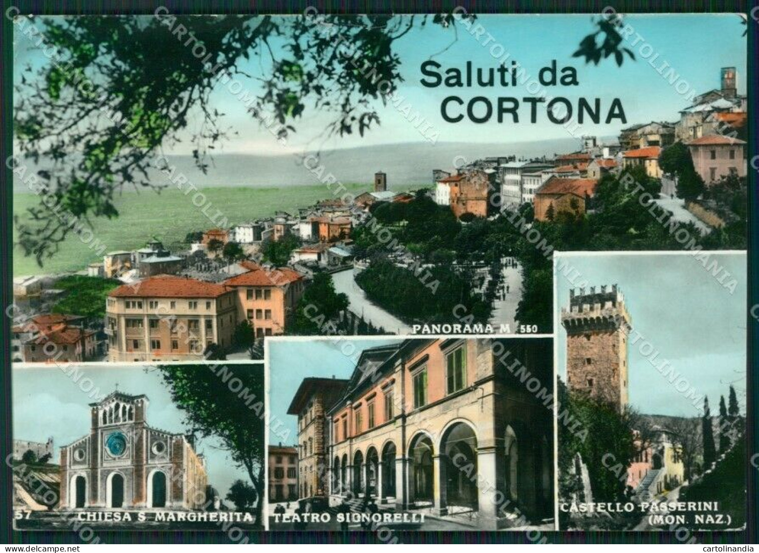 Arezzo Cortona Saluti Da STRAPPINO Foto FG Cartolina ZK1288 - Arezzo
