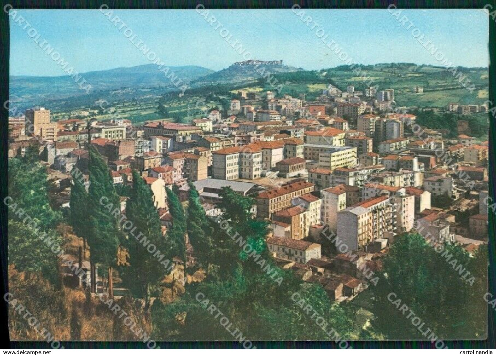 Campobasso Città Foto FG Cartolina ZKM7505 - Campobasso