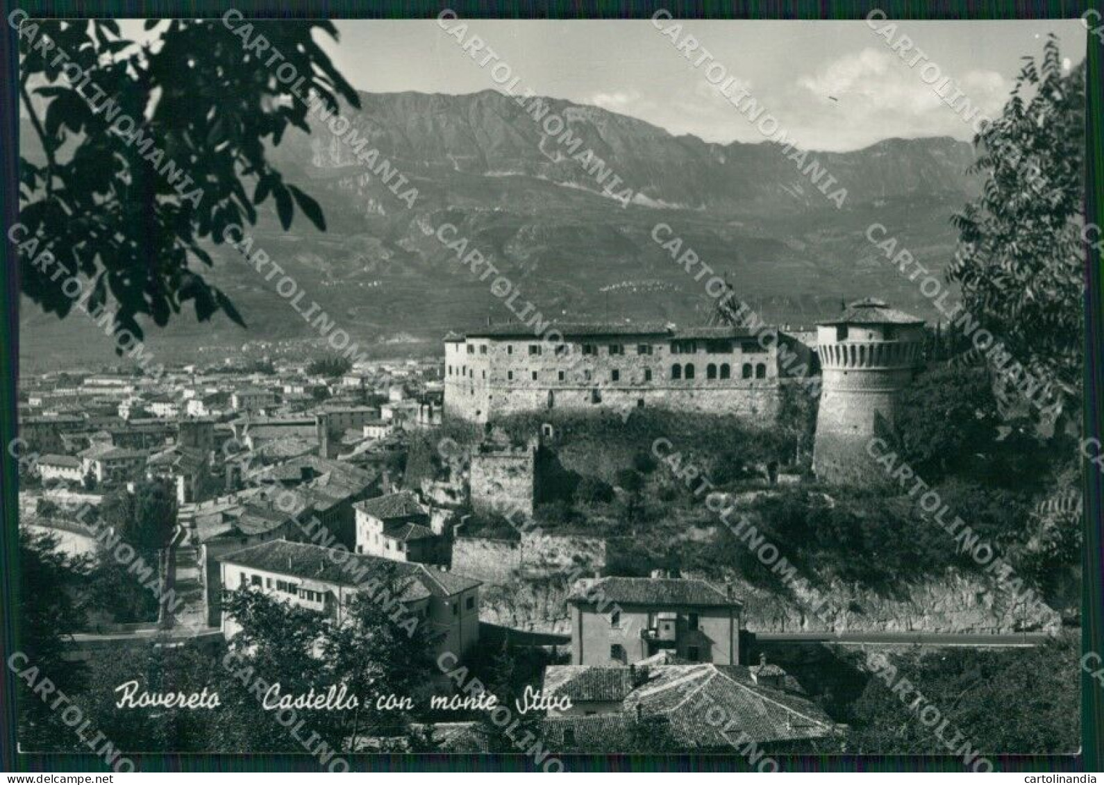 Trento Rovereto Foto FG Cartolina ZKM7002 - Trento