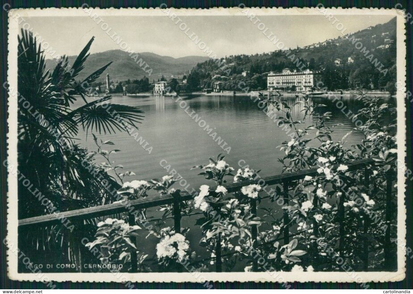 Como Cernobbio Lago Di PIEGHINE FG Foto Cartolina KB5430 - Como