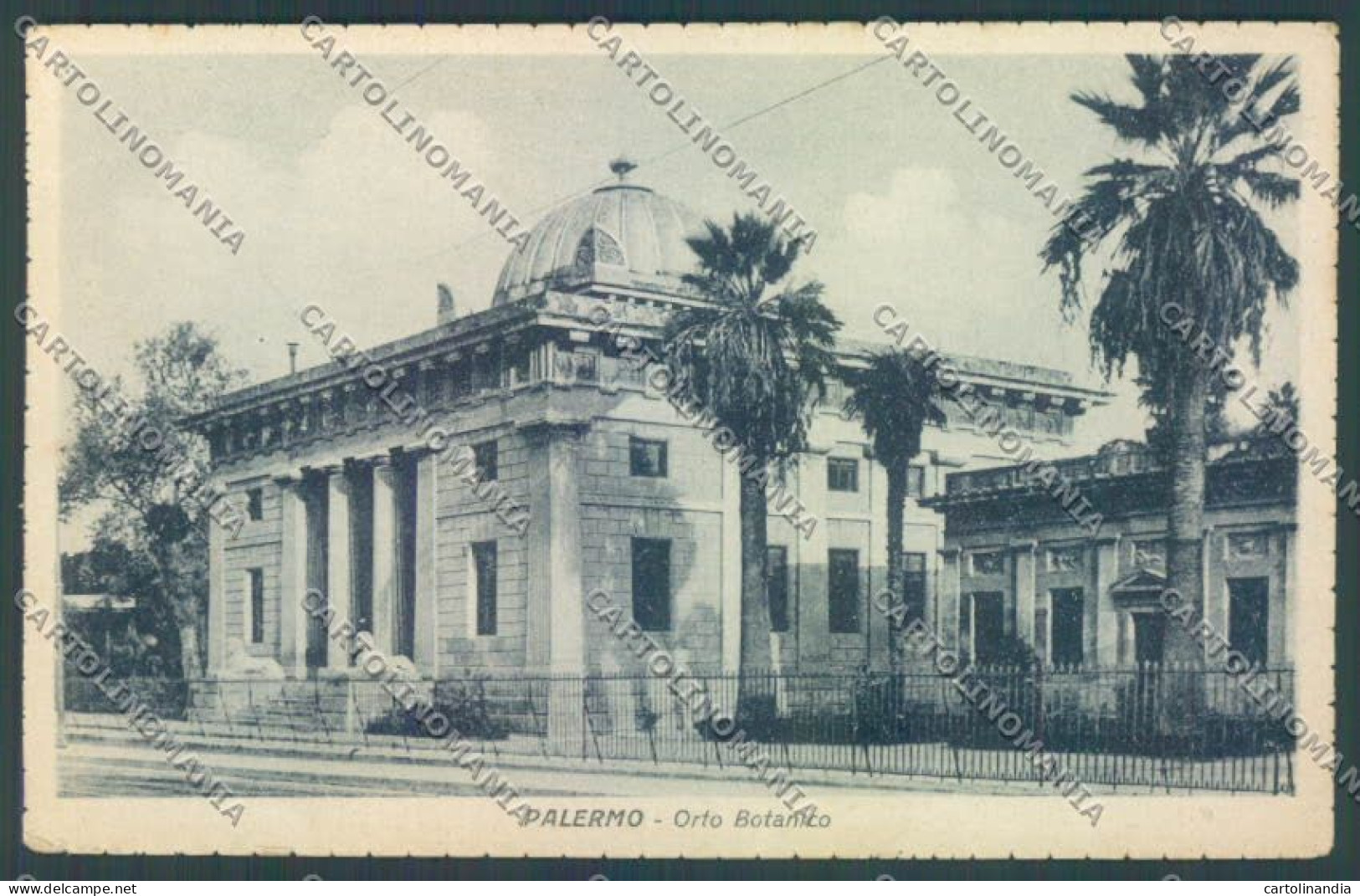 Palermo Città Orto Botanico Cartolina ZT7411 - Palermo