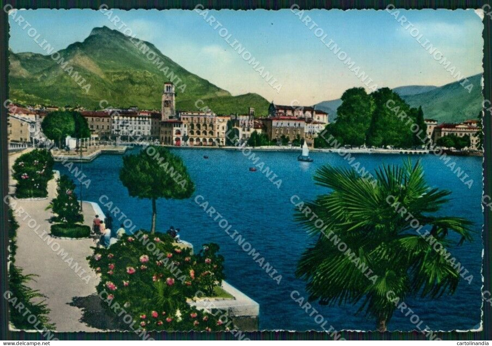 Trento Riva Del Garda Lago Di PIEGA FG Foto Cartolina KB5453 - Trento