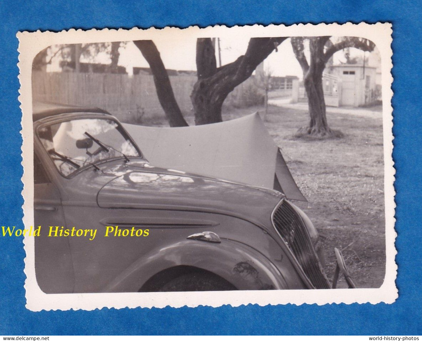 Photo Ancienne Snapshot - Camping à Situer - Belle Automobile à Identifier - 1954 - Cabriolet Décapotable - Coches