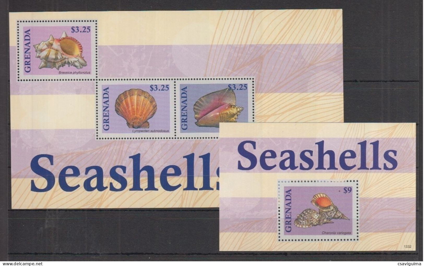 Grenada - 2013 - Shell - Yv 5543J/M + Bf 775D - Conchiglie