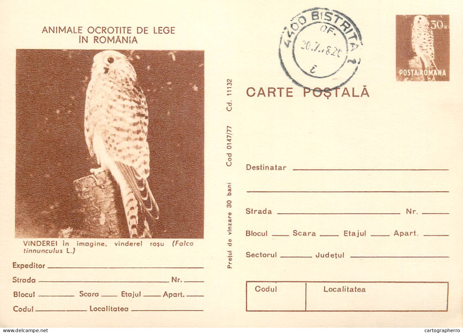 Postal Stationery Postcard Romania Falcon Bird Falco Tinnunculus 1978 - Roumanie