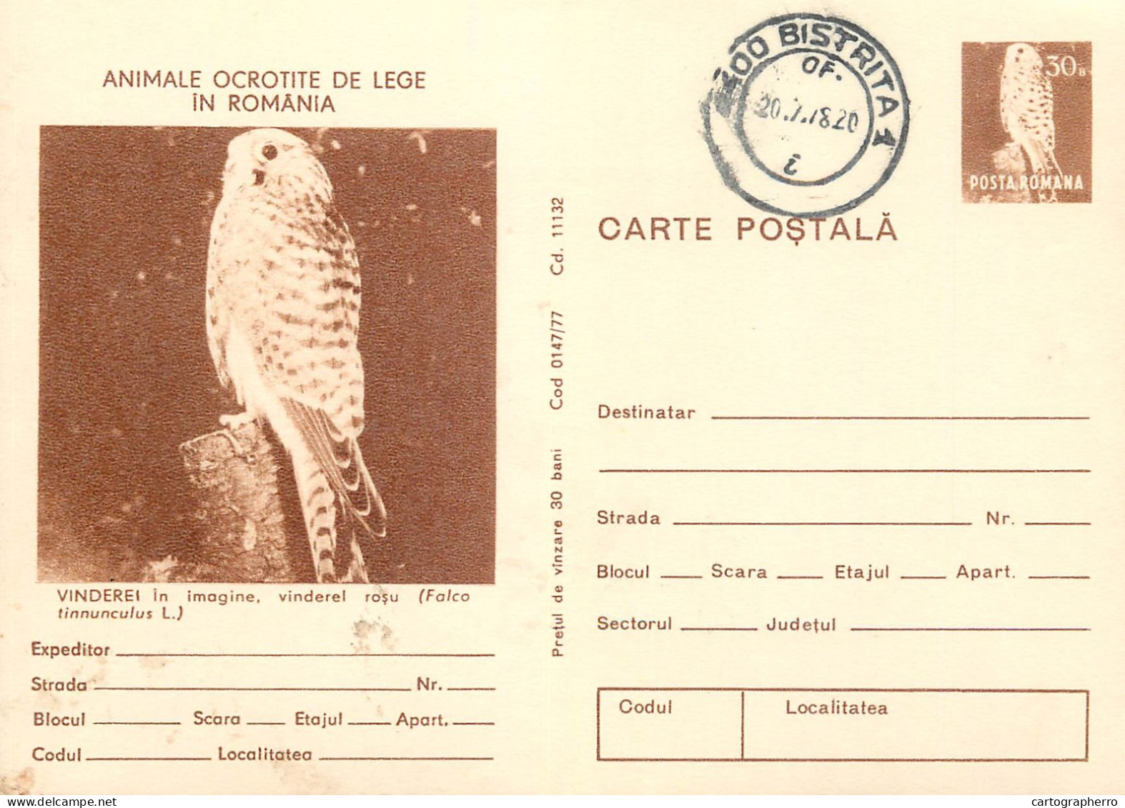 Postal Stationery Postcard Romania Falcon Bird Falco Tinnunculus 1978 - Rumania