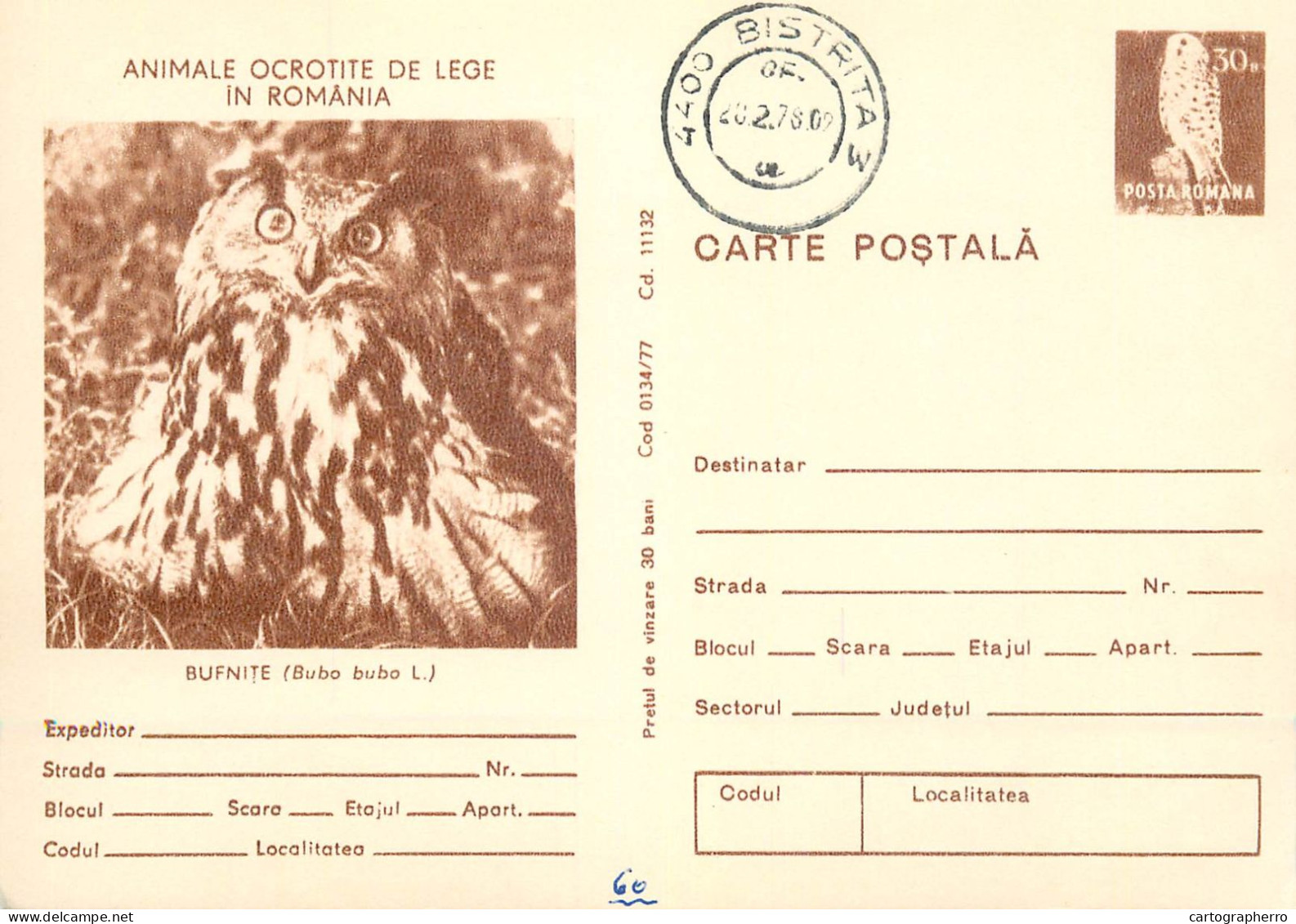 Postal Stationery Postcard Romania Owl Bird Bubo Bubo - Roemenië