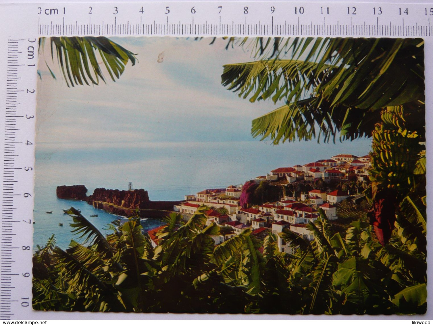 Madeira, Camara De Lobos: Aidela Piscatoria - Fishing Village  - Portugal, República Portuguesa - Madeira