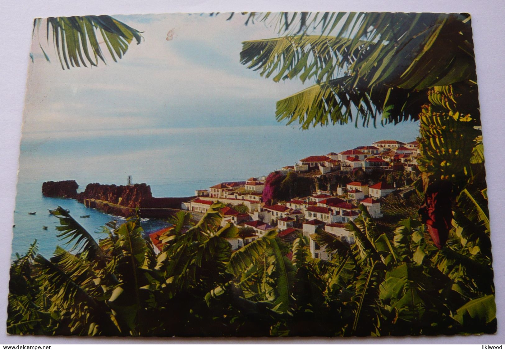 Madeira, Camara De Lobos: Aidela Piscatoria - Fishing Village  - Portugal, República Portuguesa - Madeira