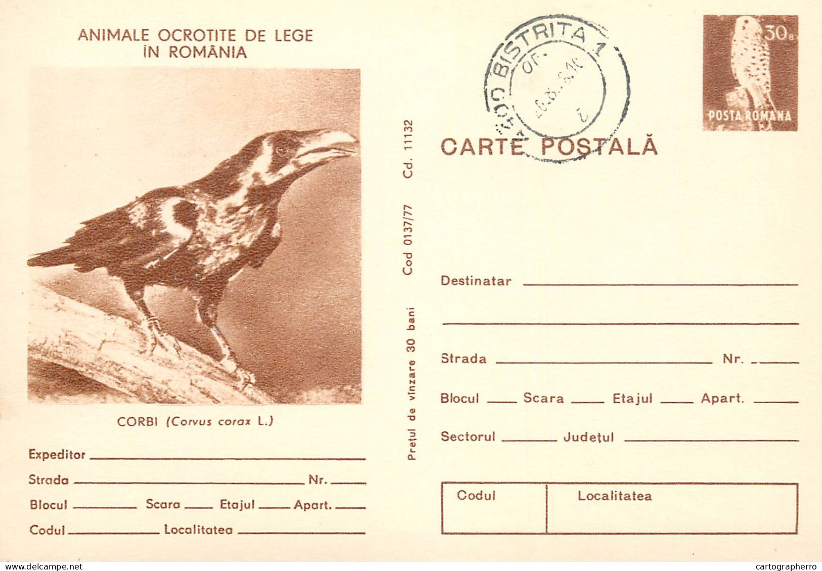 Postal Stationery Postcard Romania Raven Corvus Corax - Rumania