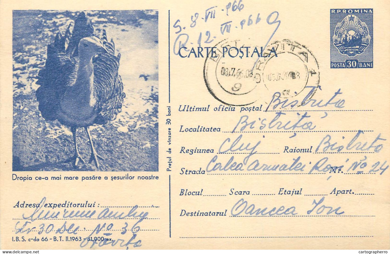 Postal Stationery Postcard Romania Dropia Bird 1966 - Rumania