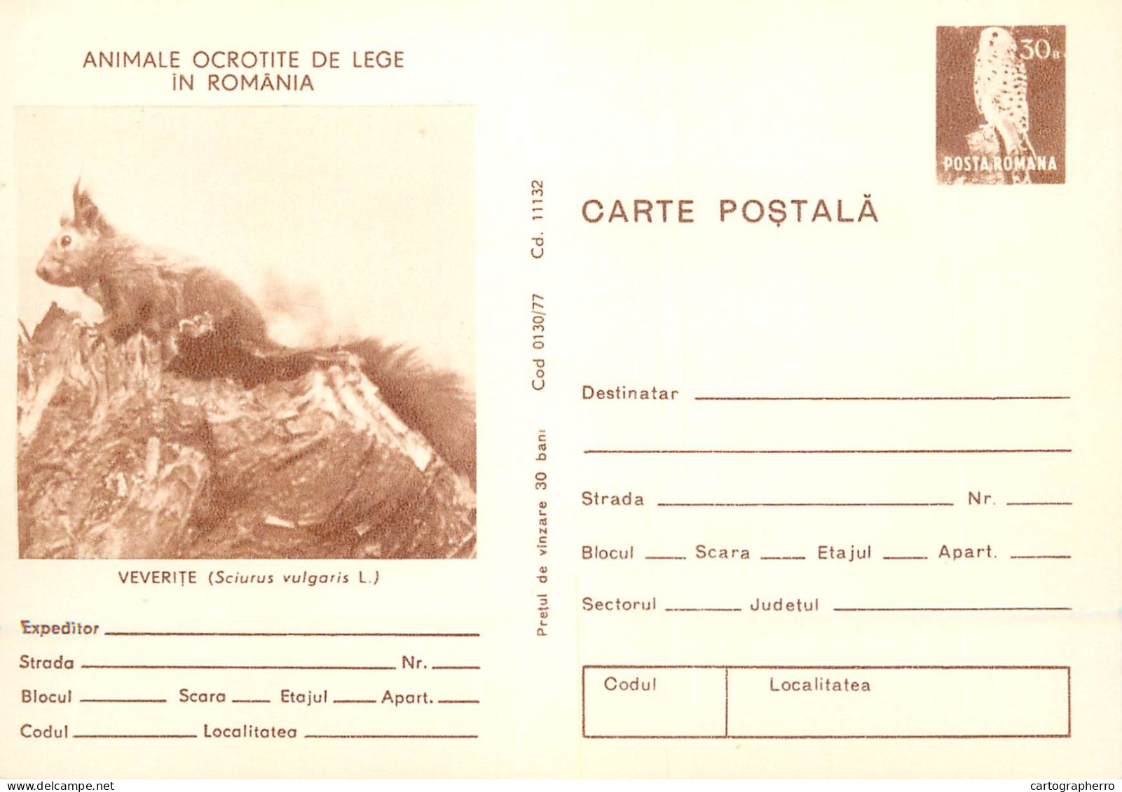 Postal Stationery Postcard Romania Squirell Sciurus Vulgaris 1979 - Rumania