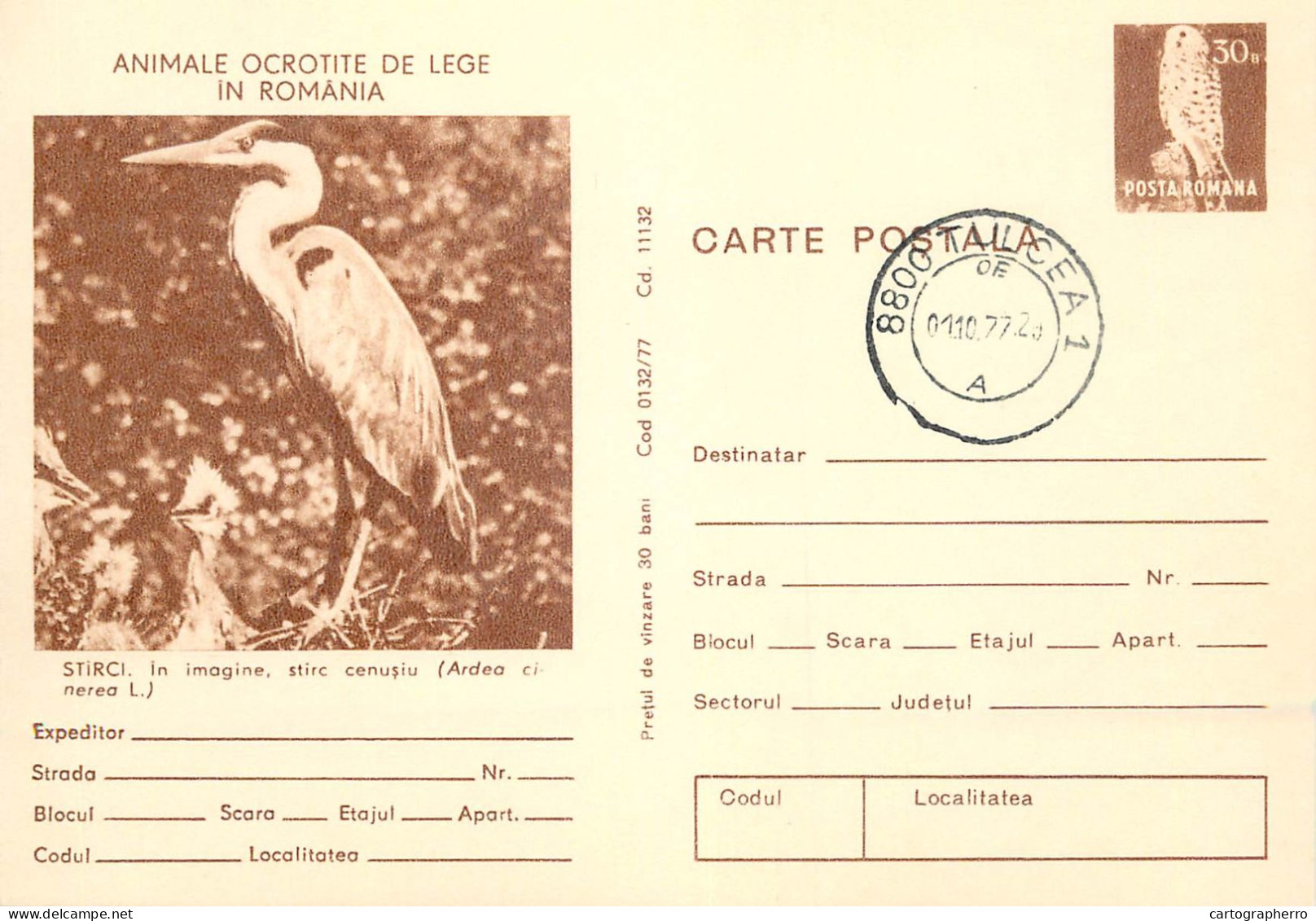 Postal Stationery Postcard Romania Starc Grey Ardea Cinerea - Rumania