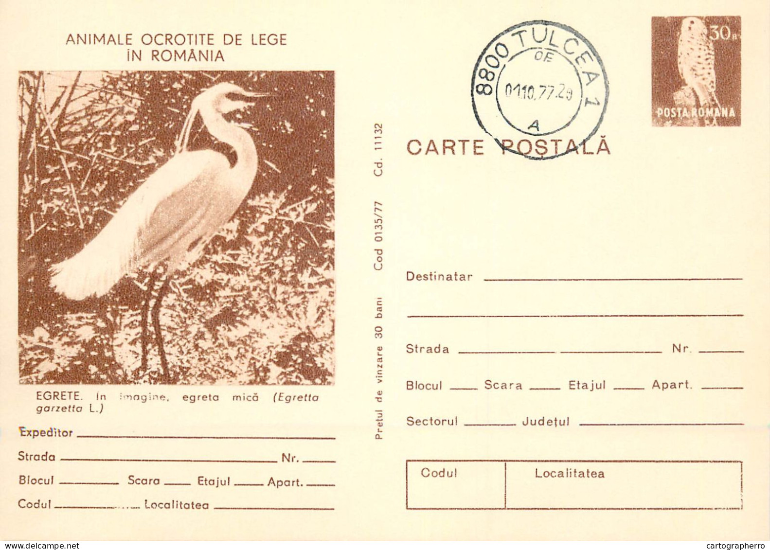 Postal Stationery Postcard Romania Egreta Egretta Garzetta - Rumania