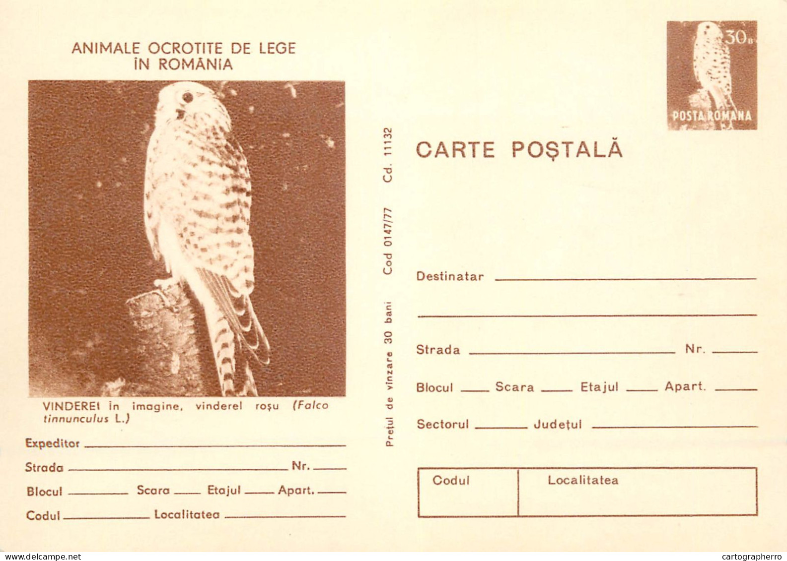 Postal Stationery Postcard Romania Vinderel Falco Tinnunculus - Roemenië