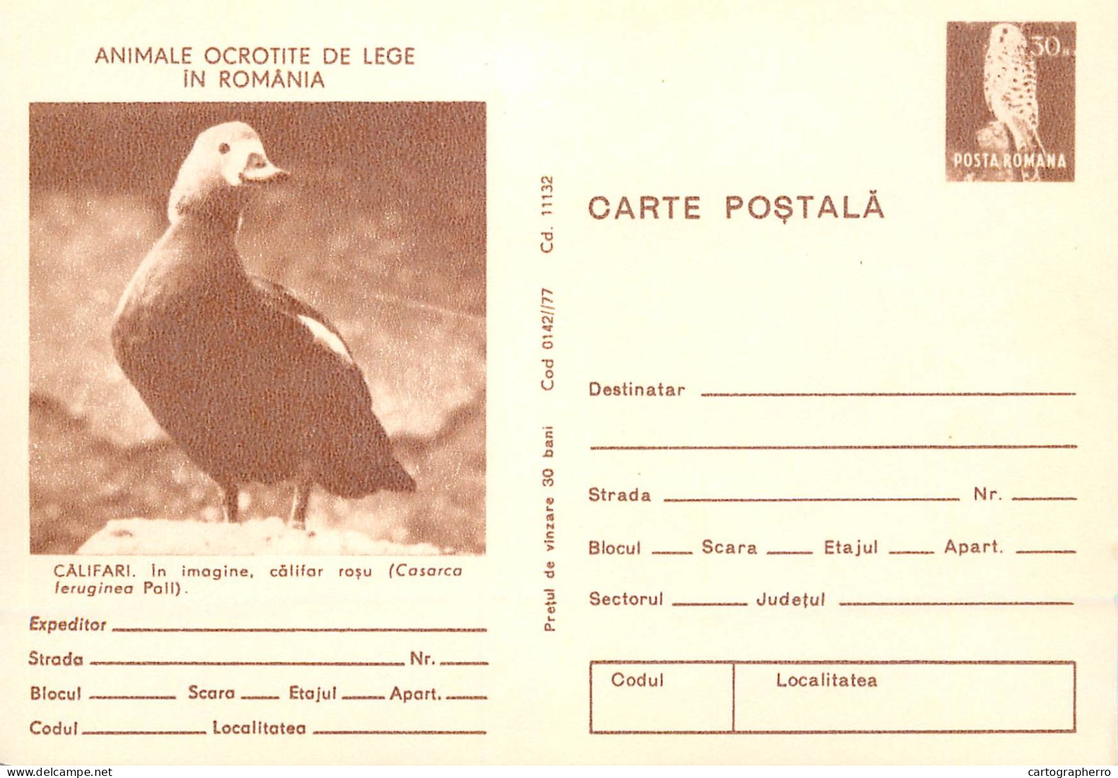 Postal Stationery Postcard Romania Califari Cosarca Feruginea Poli - Roumanie