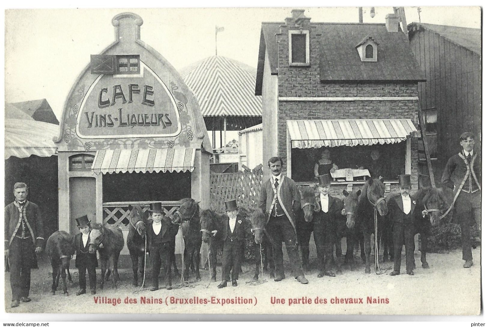 BELGIQUE - Village Des Nains (Bruxelle Exposition) - Une Partie Des Chevaux Nains - Other & Unclassified