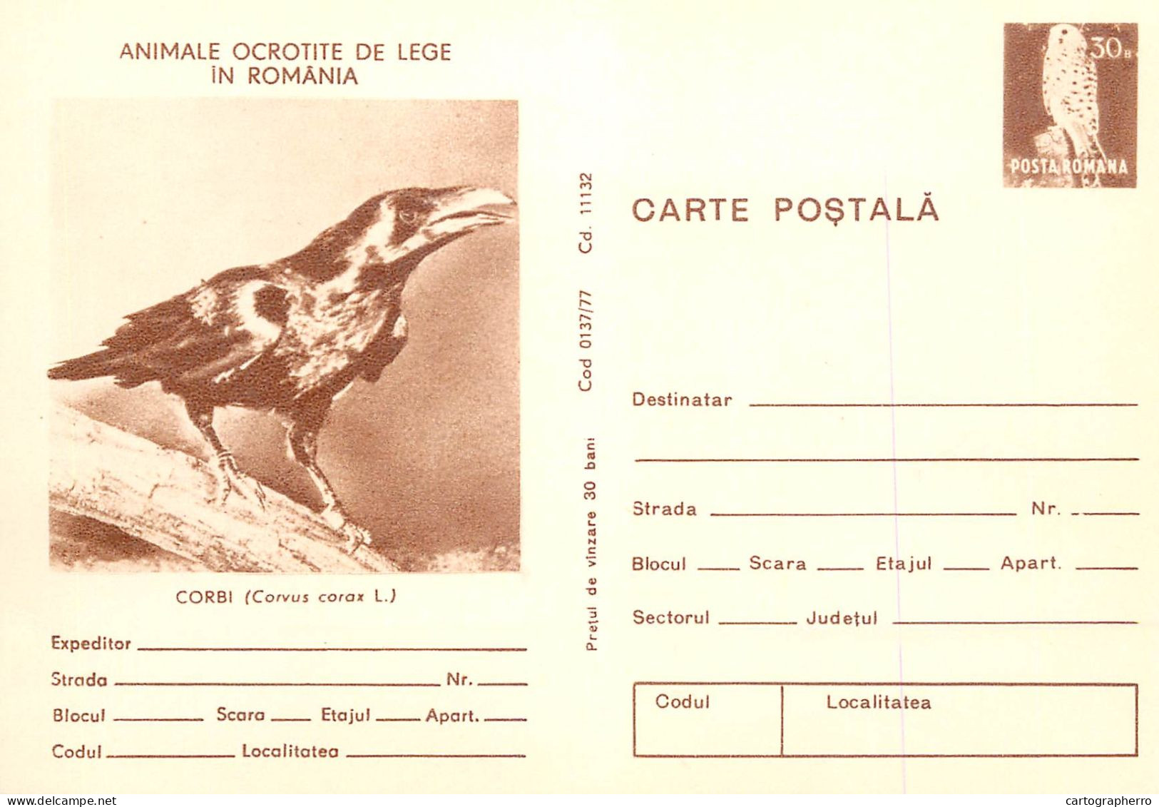 Postal Stationery Postcard Romania Raven Corvus Corax - Roemenië