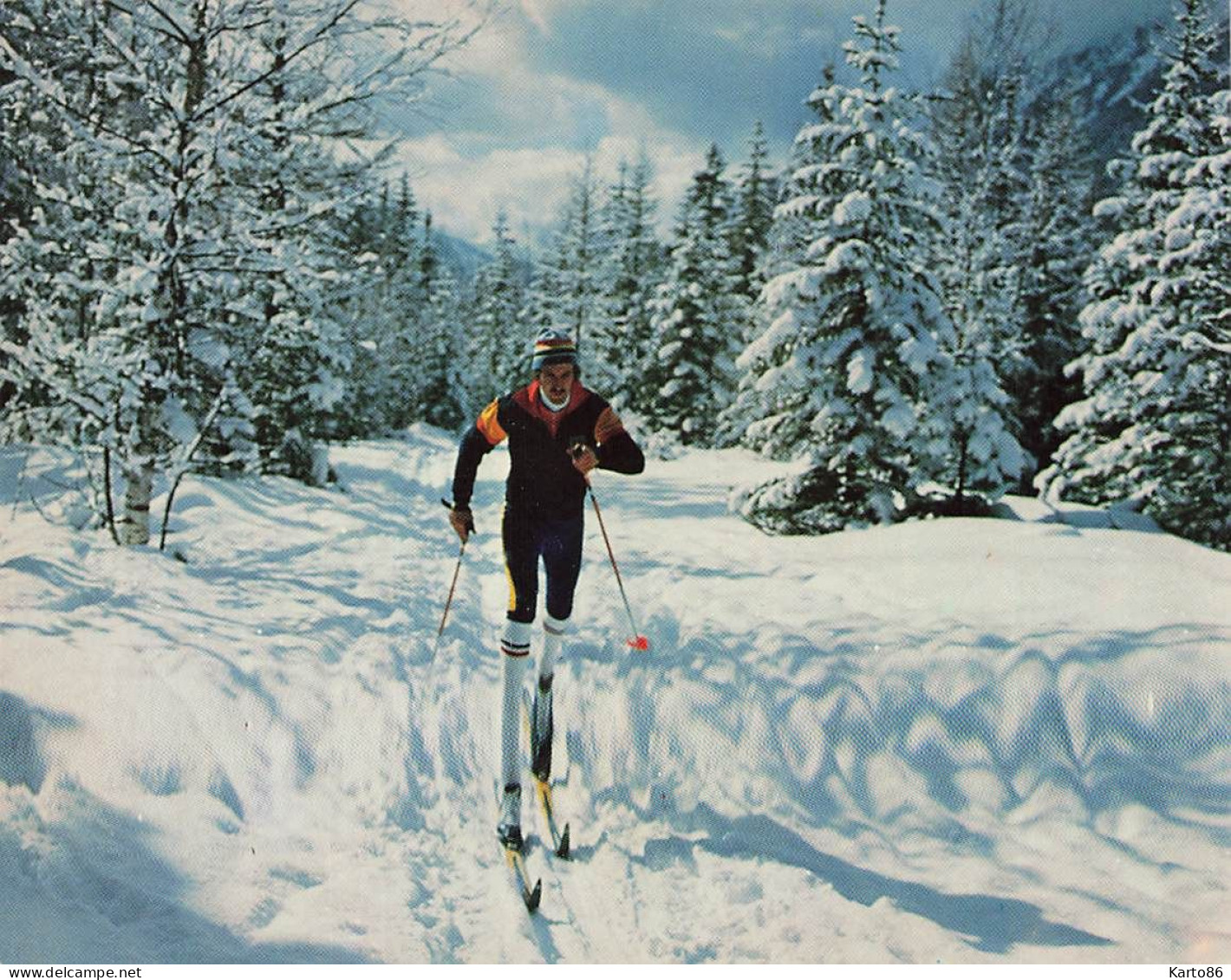 Sports D'hiver * CP * Ski , Skieur , Fondeur Solitaire En Auvergne - Wintersport