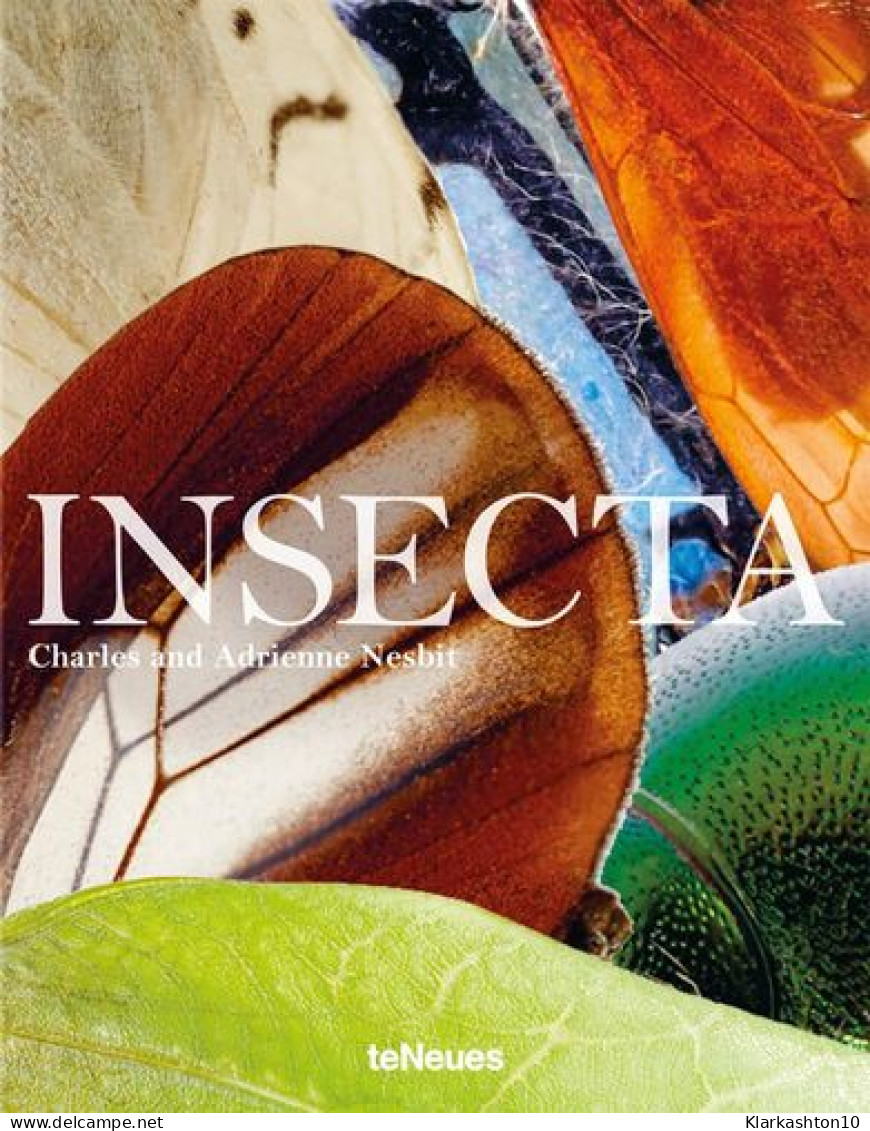 Insecta: Insekten Wie Sie Sie Noch Noch Nie Gesehen Haben - Altri & Non Classificati