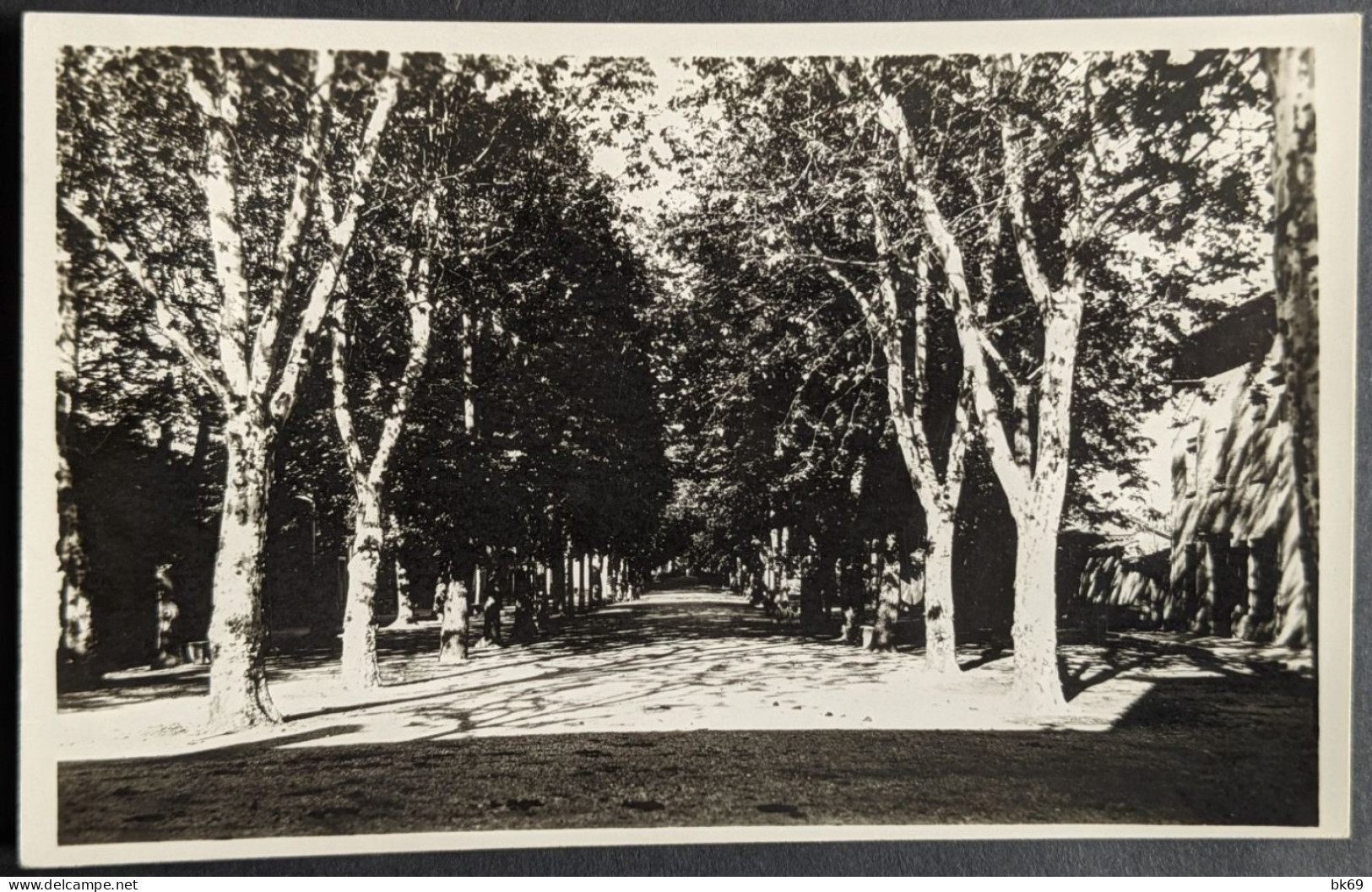 Montluel Promenade Des Tilleuls - Montluel