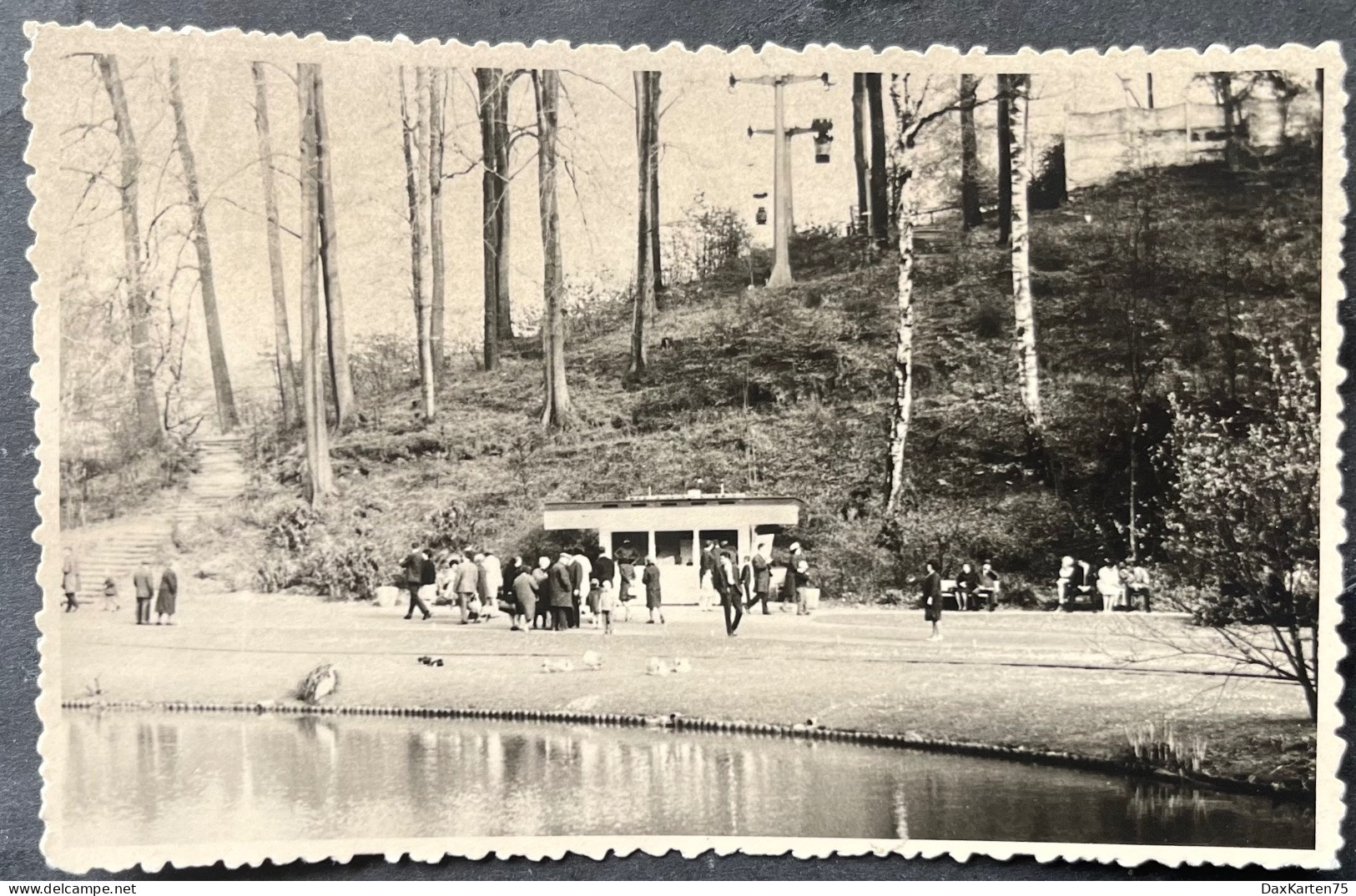 Saarbrücken/ See, Wald Und Gondelbahn/ Fotokarte - Saarbrücken